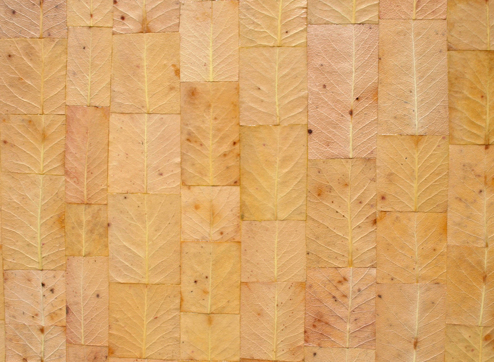 Detailed patchwork of a Textured 'Painting' madrone leaves piece.