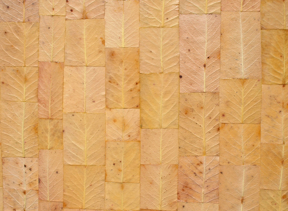  Detailed patchwork of a&nbsp;Textured 'Painting' madrone leaves piece. 