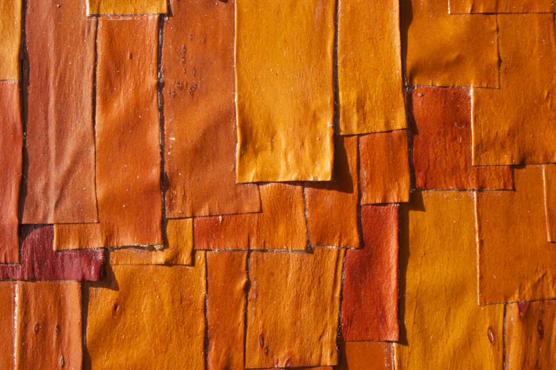 A close-up of the layered madrone bark.