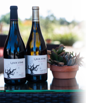 lava_wines.png