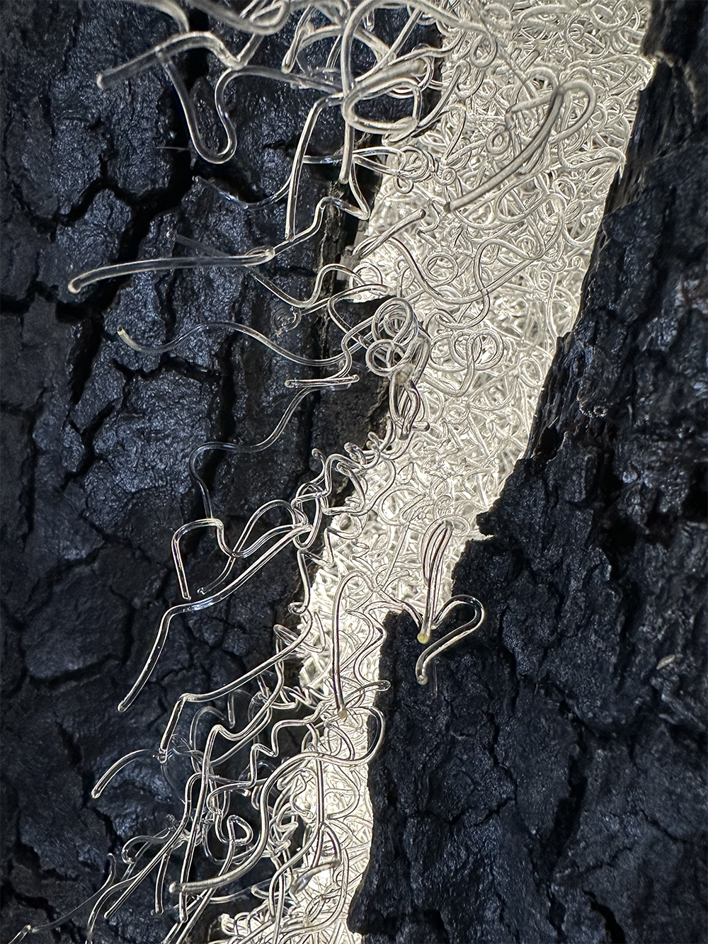  Detailed photo of the glass “grape tendrils” poking through the side of the trunk and lit from within. 