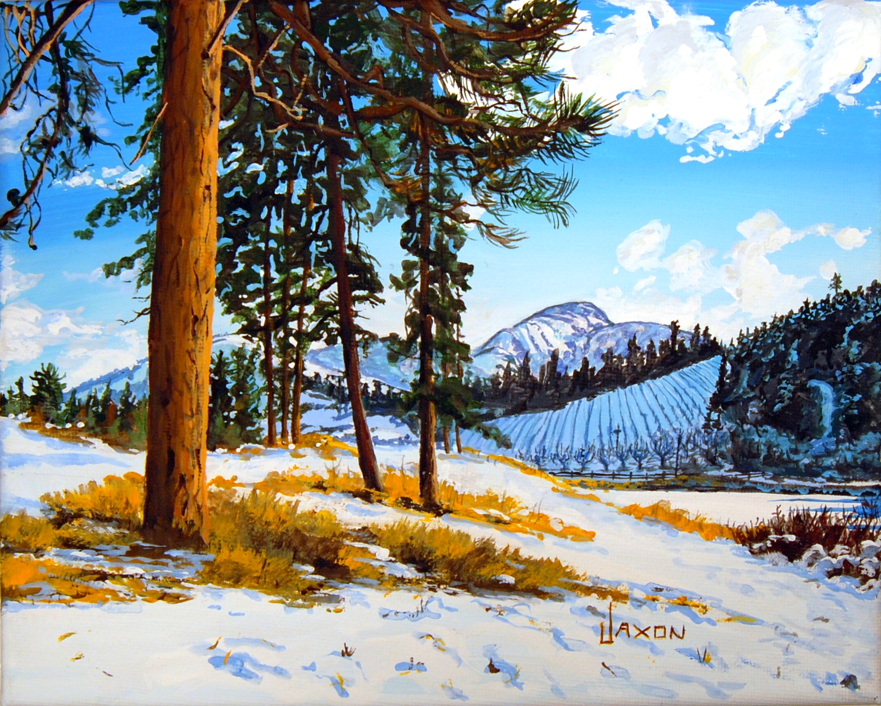 Bright Winter Blues