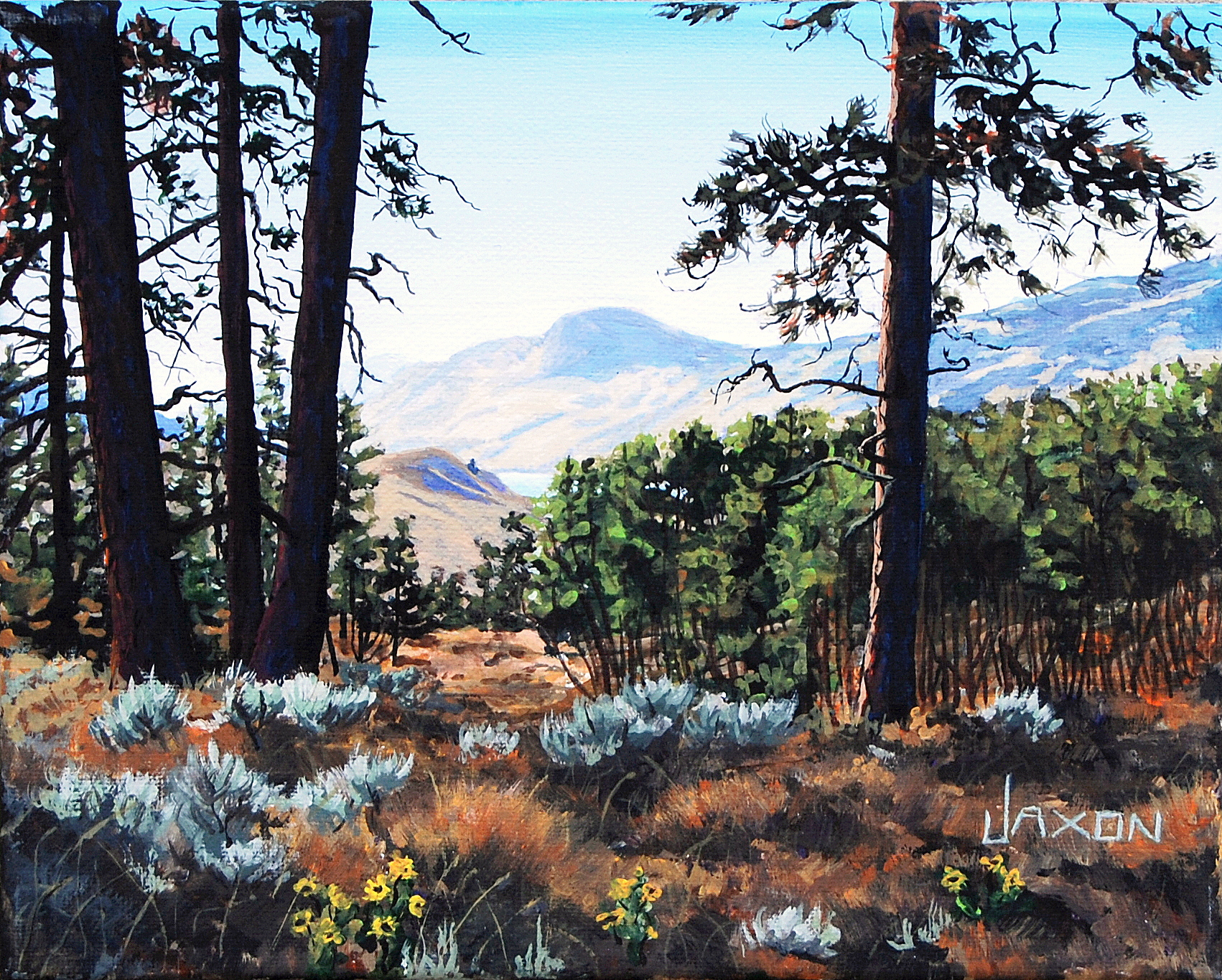 Desert Pines