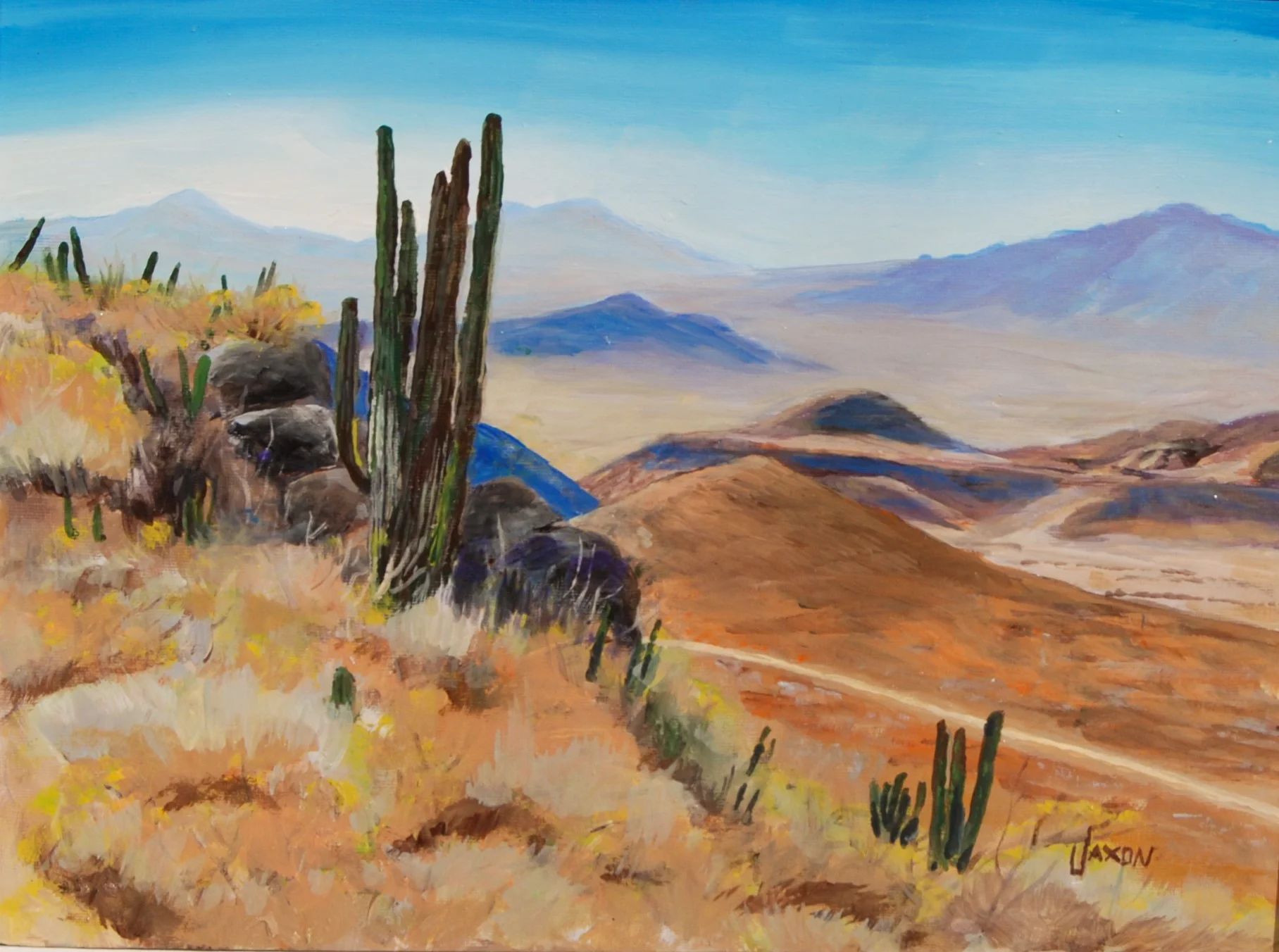 Desert Hills