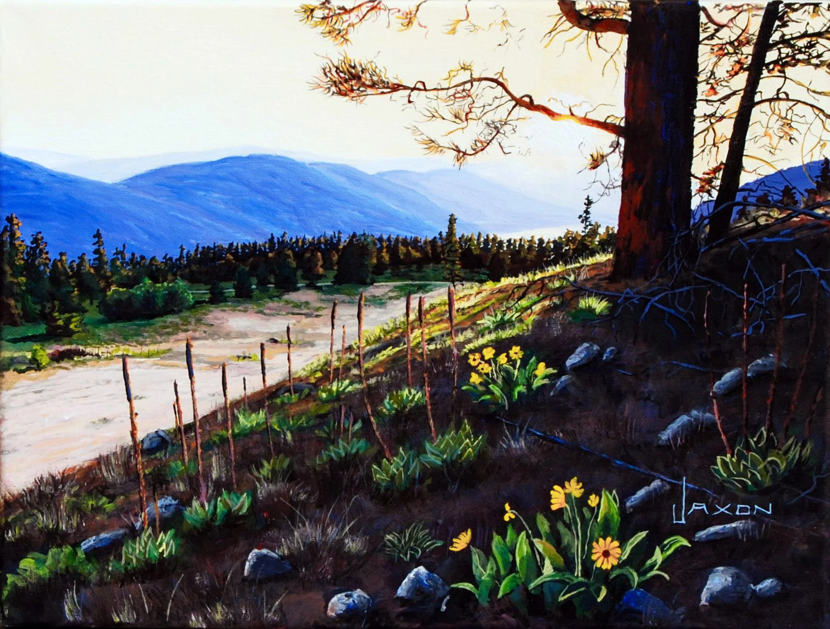 Okanagan Sunset