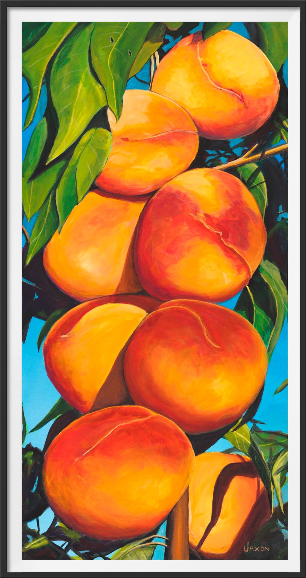 paper print of Okanagan Peach painting by kelowna artist from British Columbia
