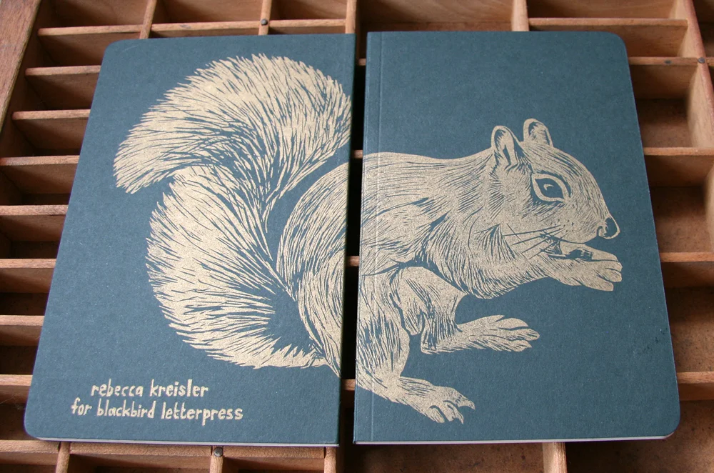 squirrel-note2.jpg