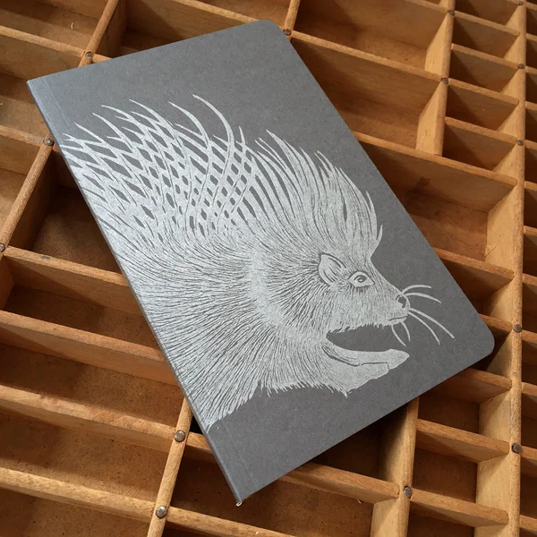 porcupine4.jpg