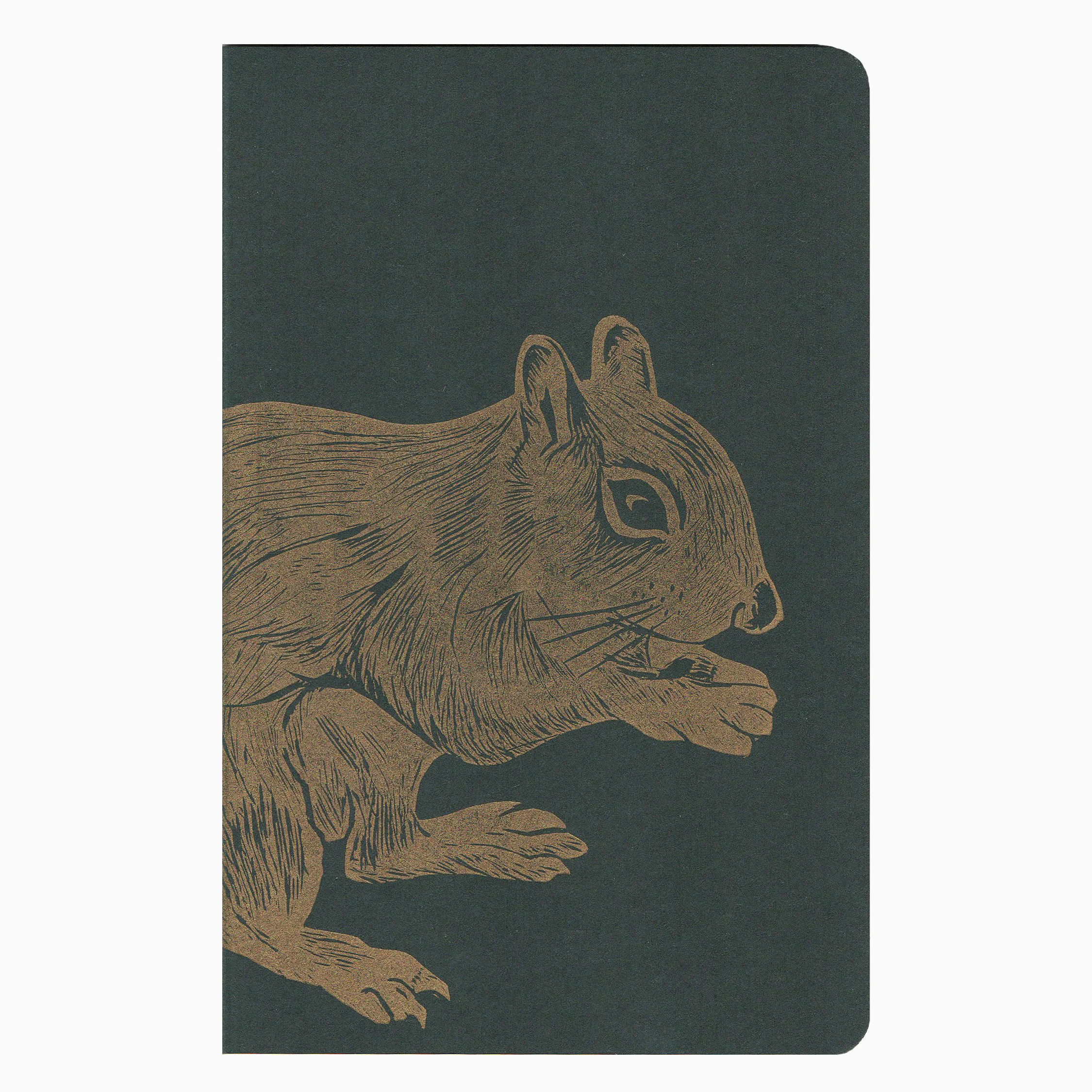 nb 1squirrel.jpeg