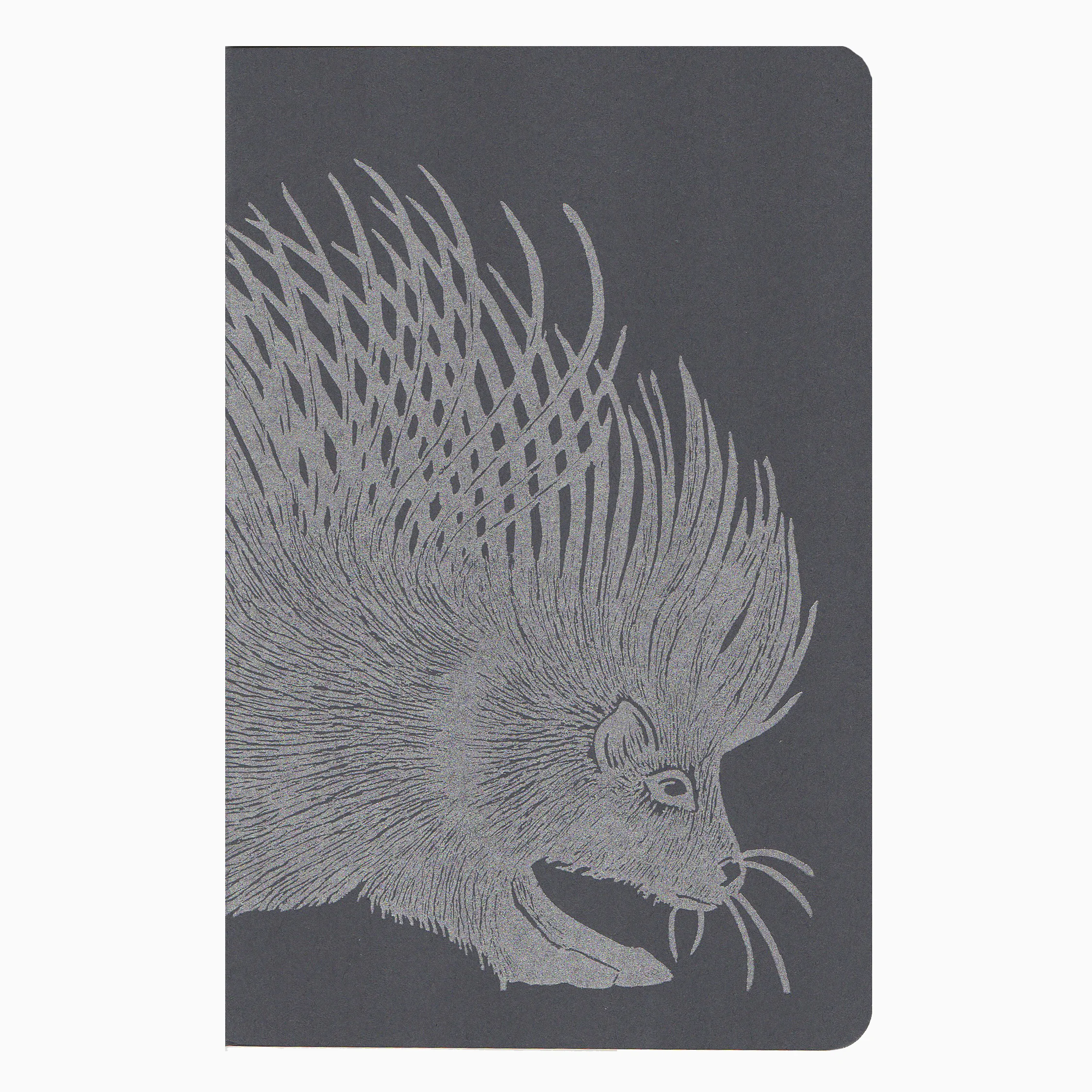 nb 1porcupine.jpeg