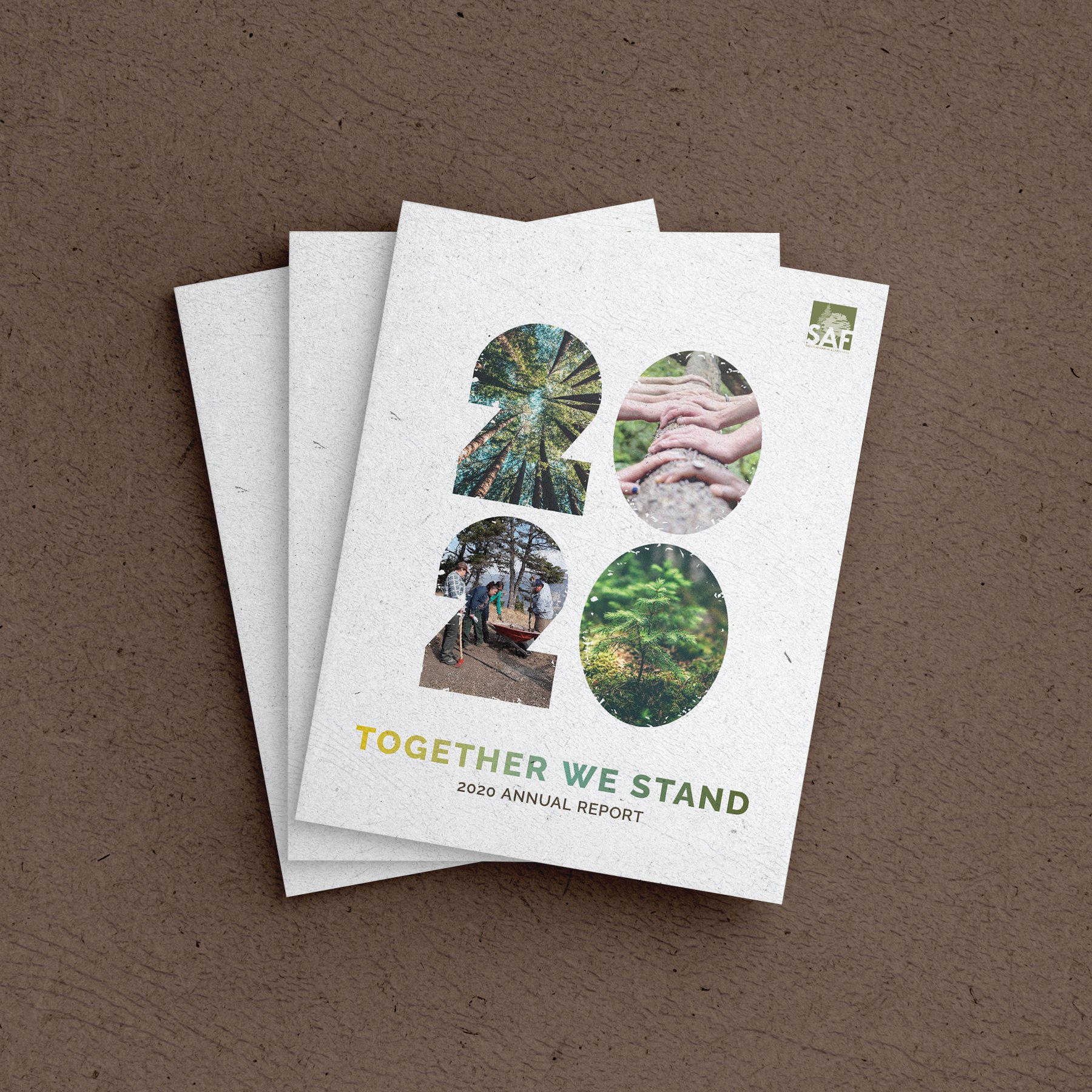 SAF Annual Report-4.jpg