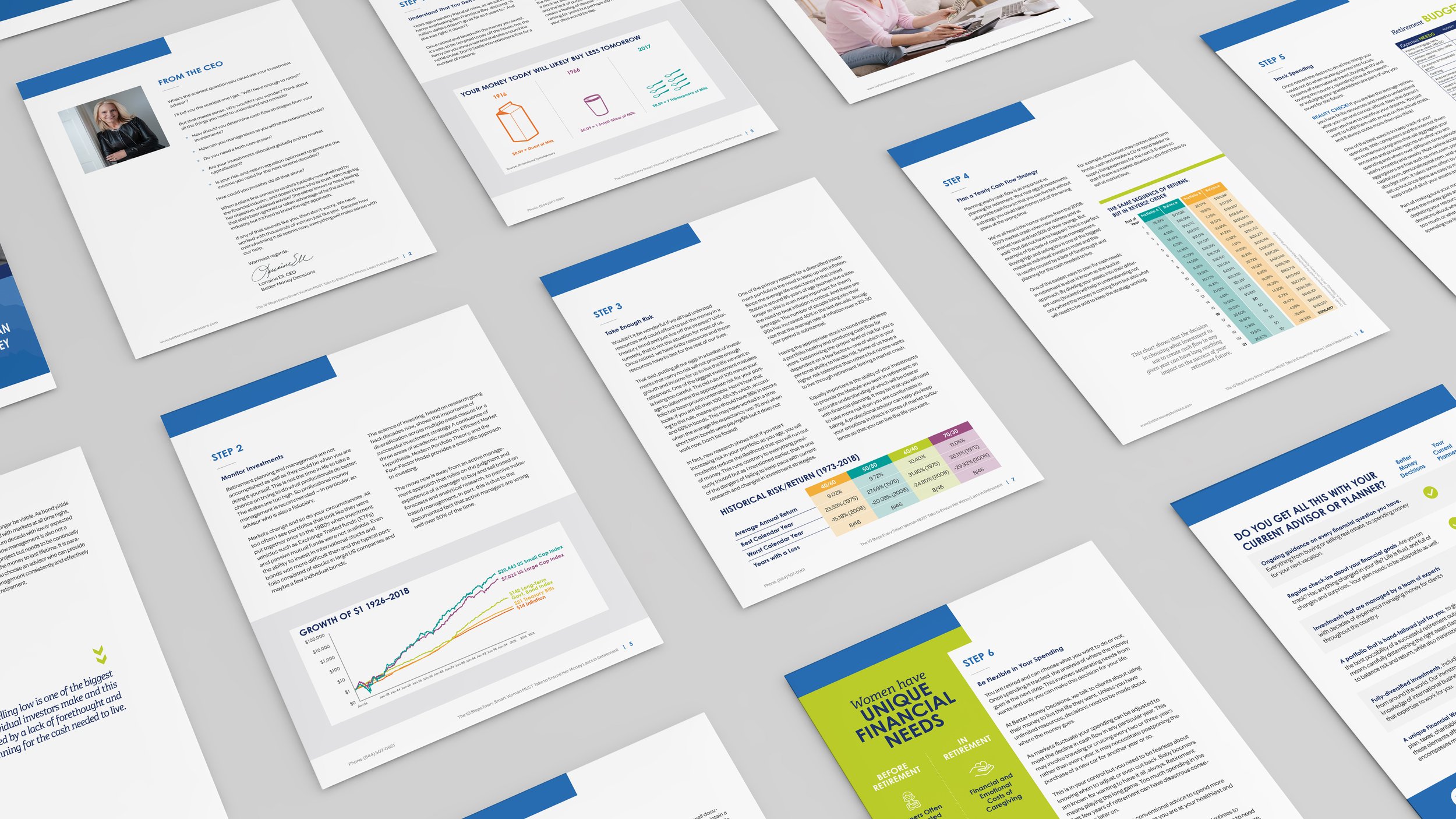 BMD Booklet-2.jpg