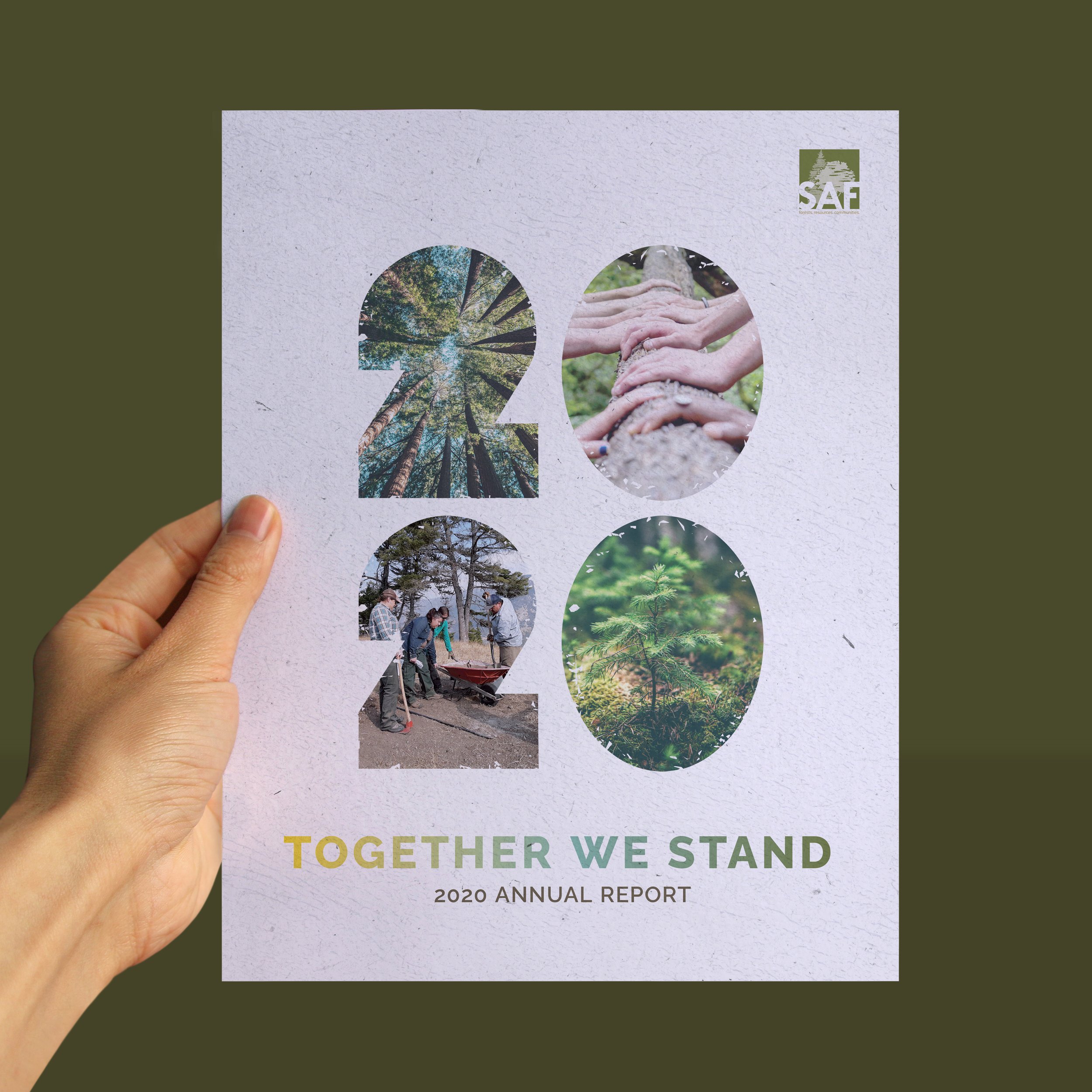 SAF Annual Report-3.jpg