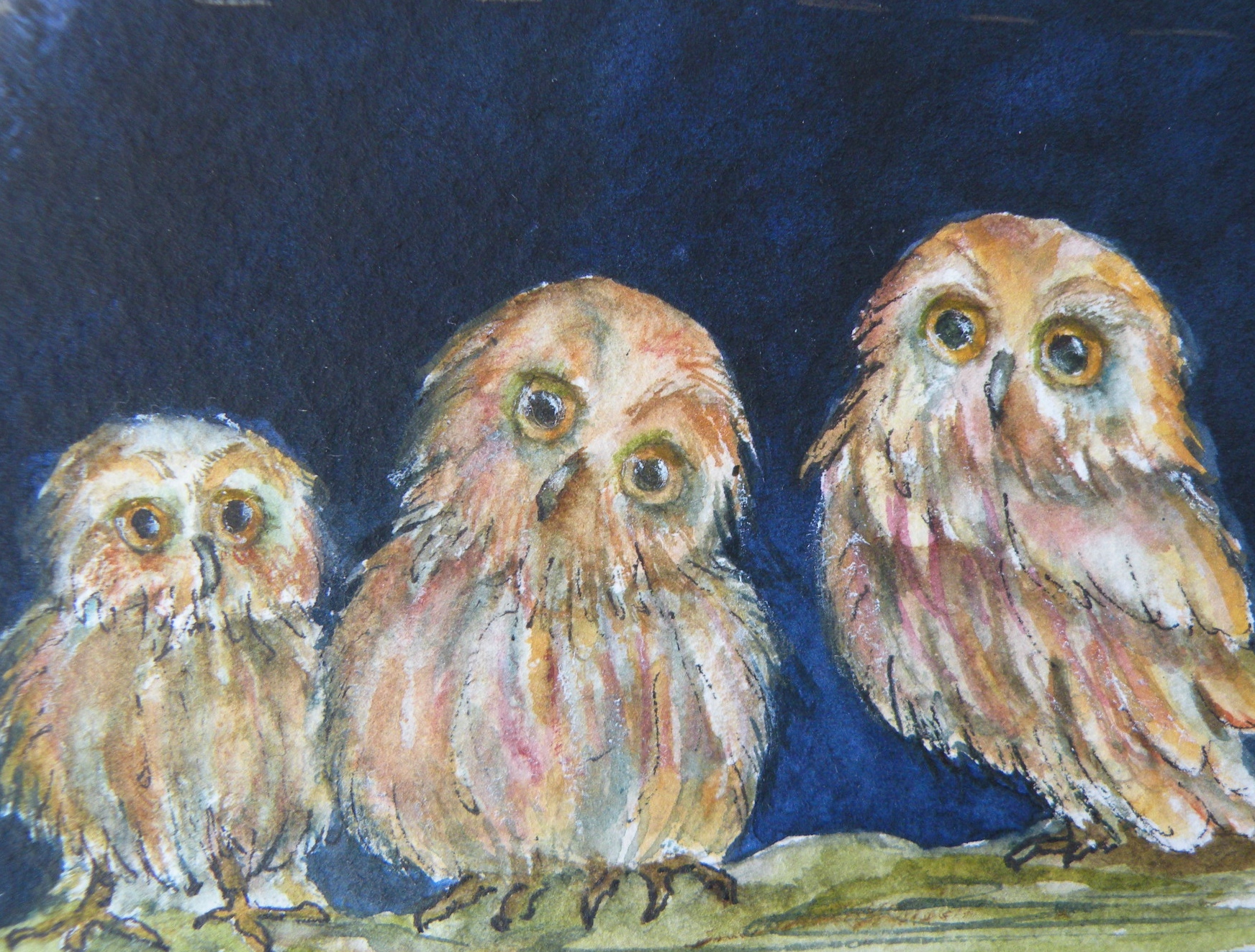 Three Owl Friends