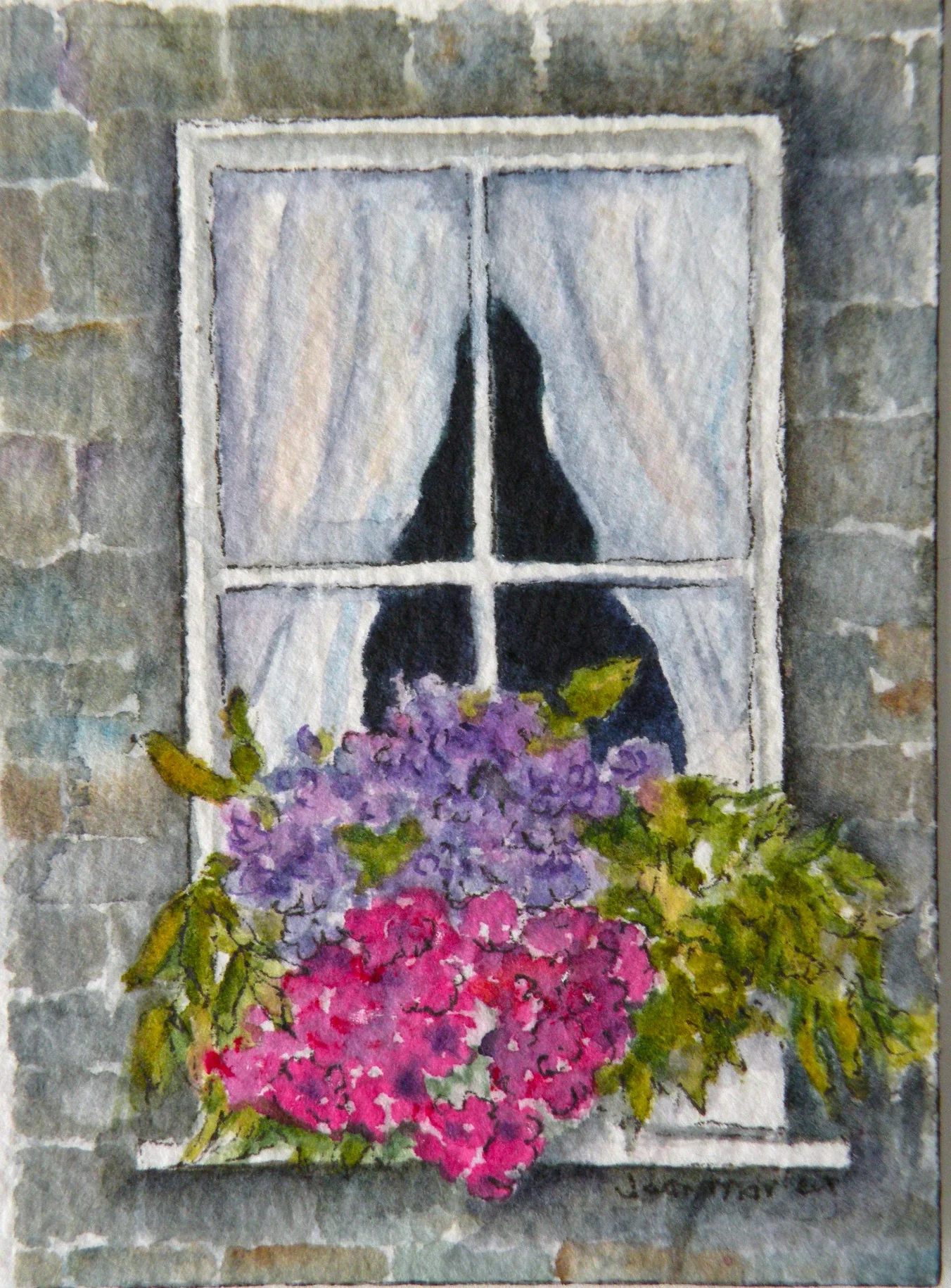 Scottish Window
