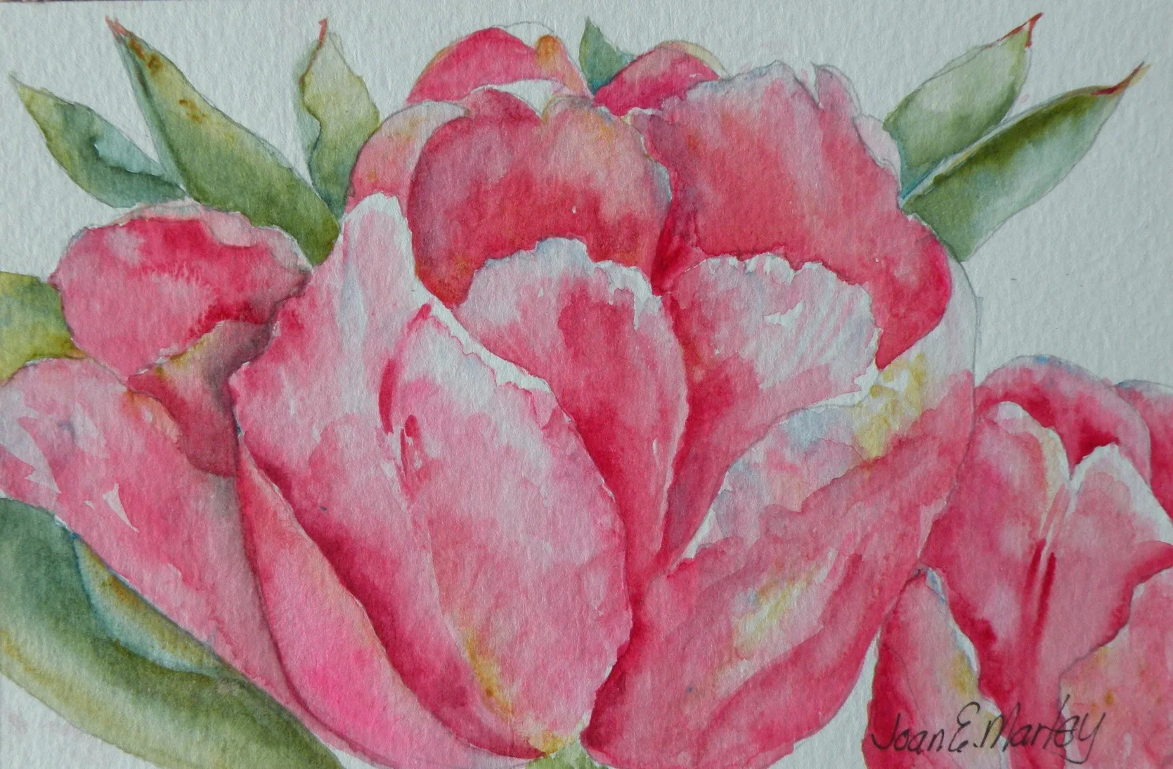 A spring tulip that has been delicately painted in pinks, blues, yellows and greens.