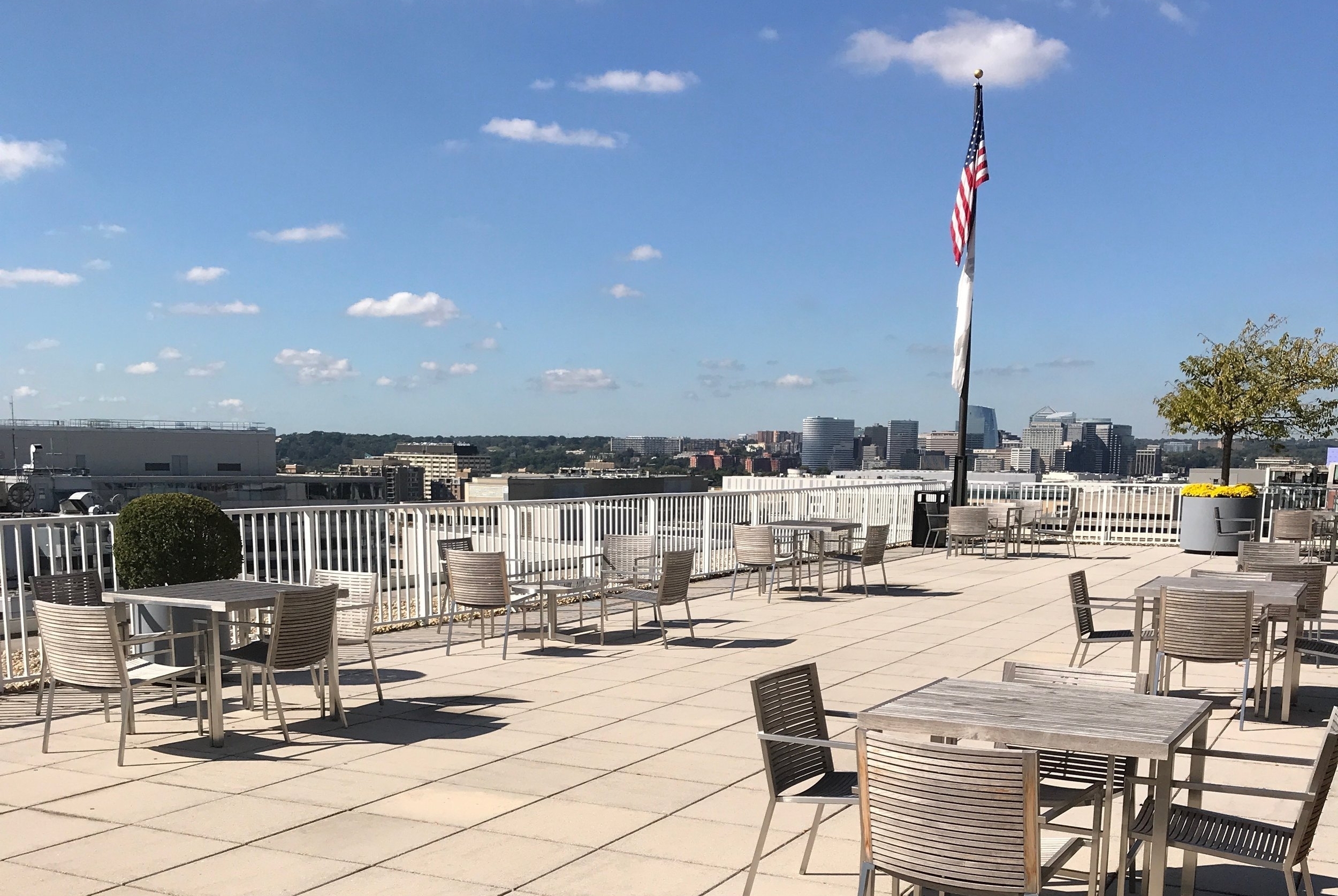 919 roof.jpeg