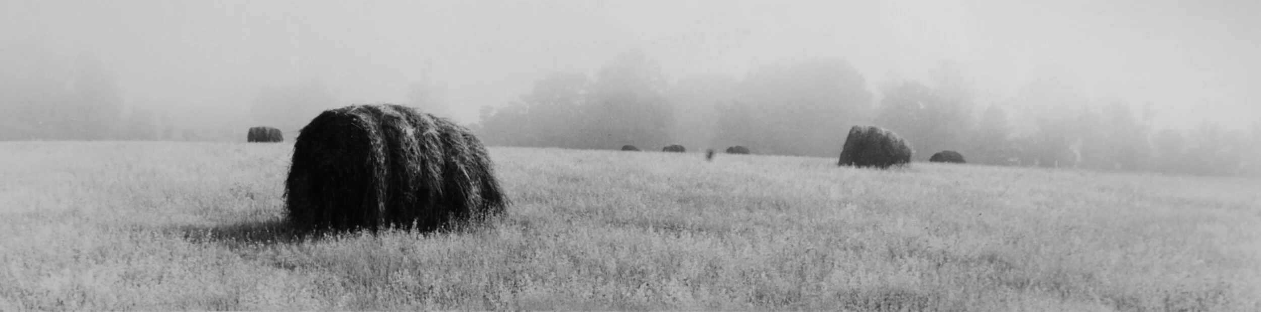 Barbara Goodbody, Harvest, n.d., Silver print, 3 x 12 inches