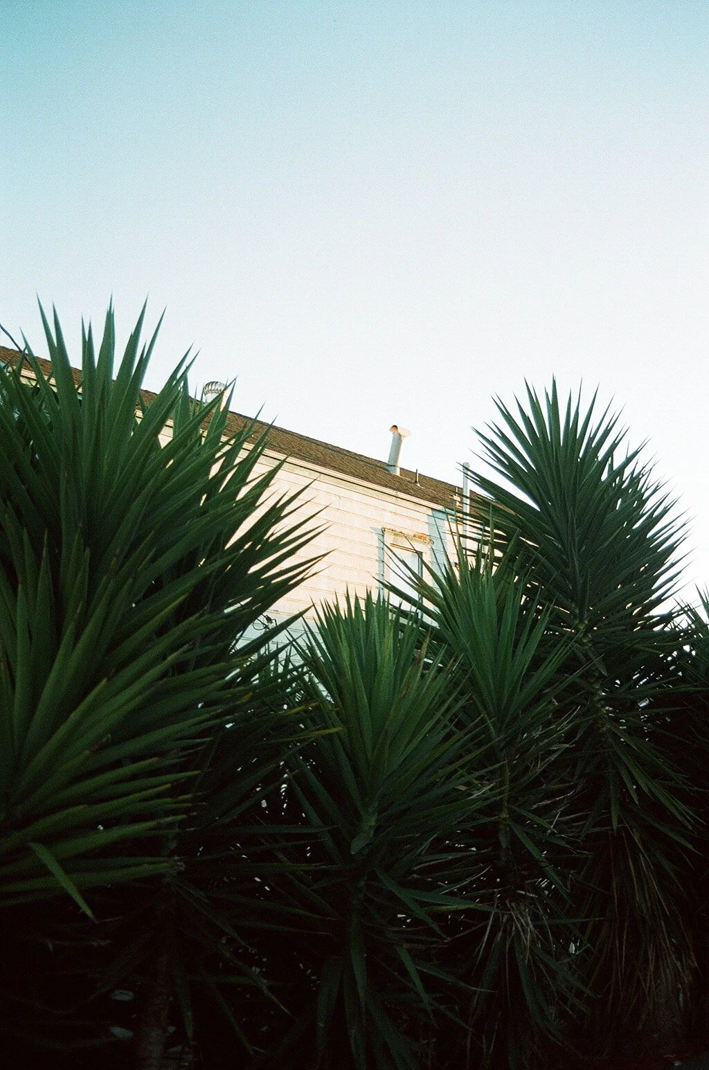   Palm , Filbert and 18th, West Oakland, CA. 2014 