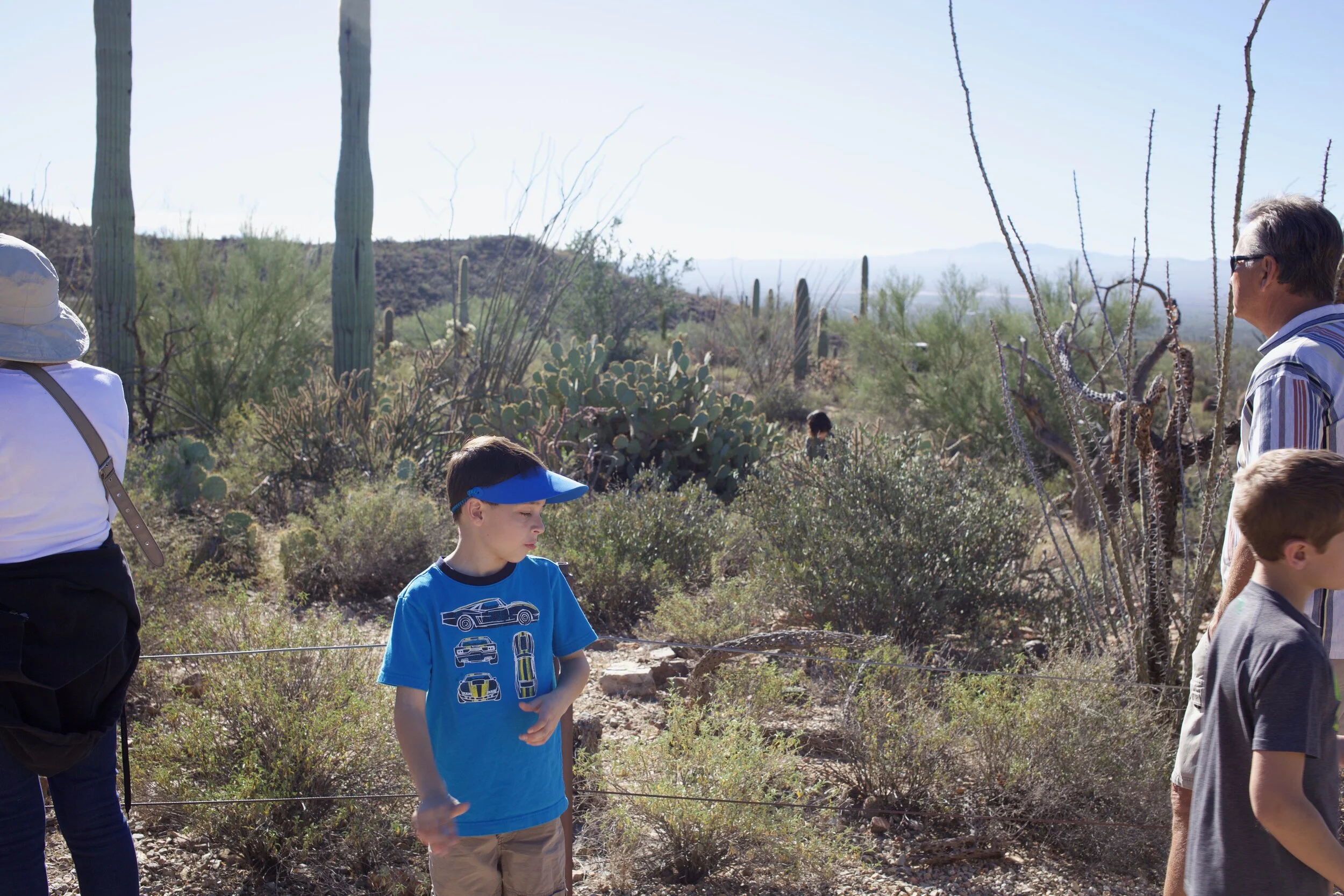 Looking 4 , Arizona-Sonora Desert Museum, Tucson, AZ. 2016
