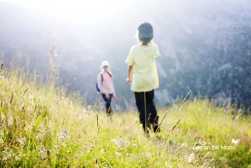 ruta-por-el-monte-con-niños.jpg