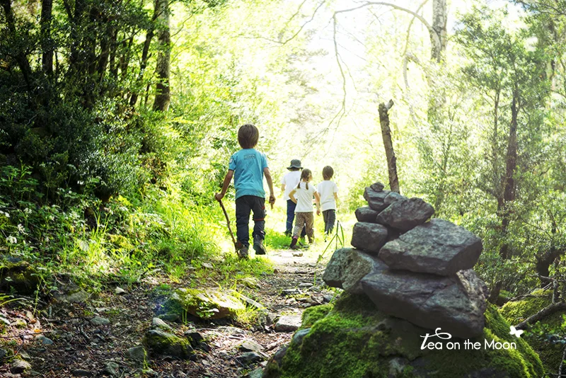 excursión-en-naturaleza-con-niños.jpg
