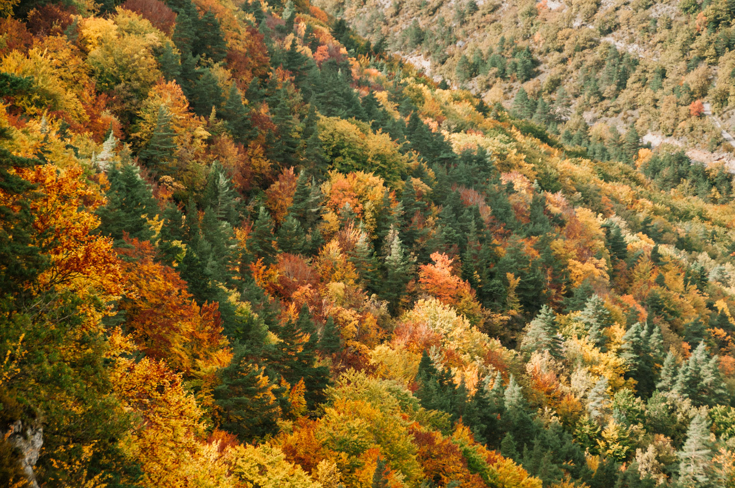 081012 gorgesdutarn_gruta dargilan-18.jpg