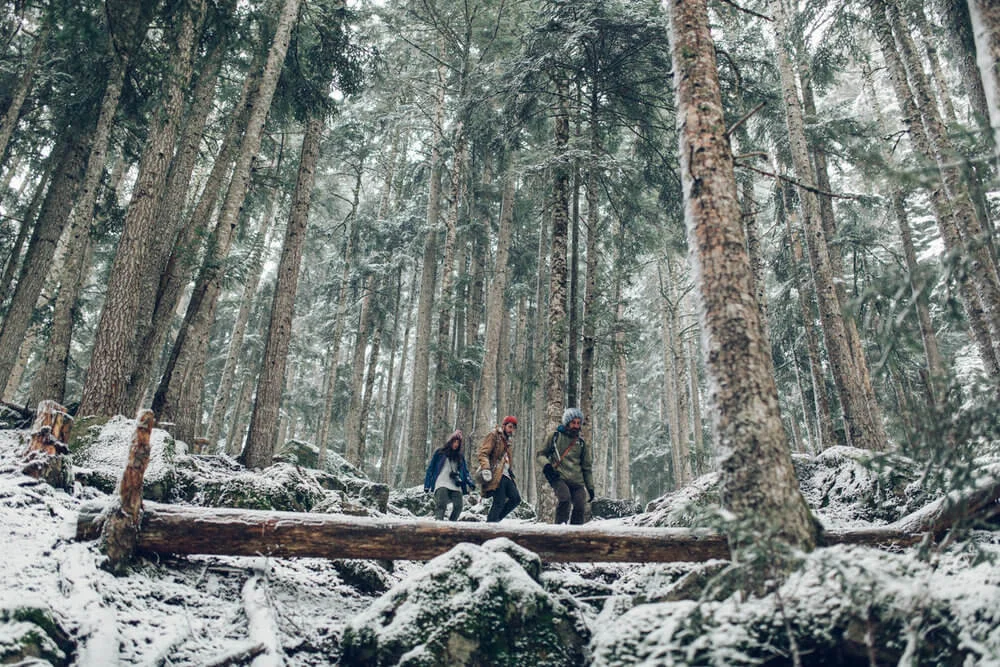 Explorando los bosques nevados de los Pirineos | Foto: Jordi Rulló