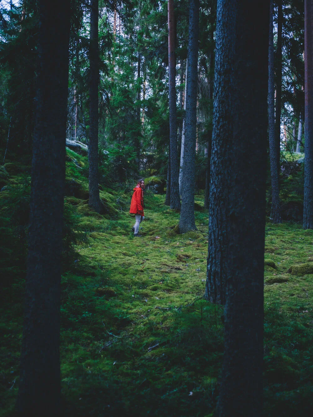 Explorando el inmenso bosque finlandés | Foto: Álvaro Sanz