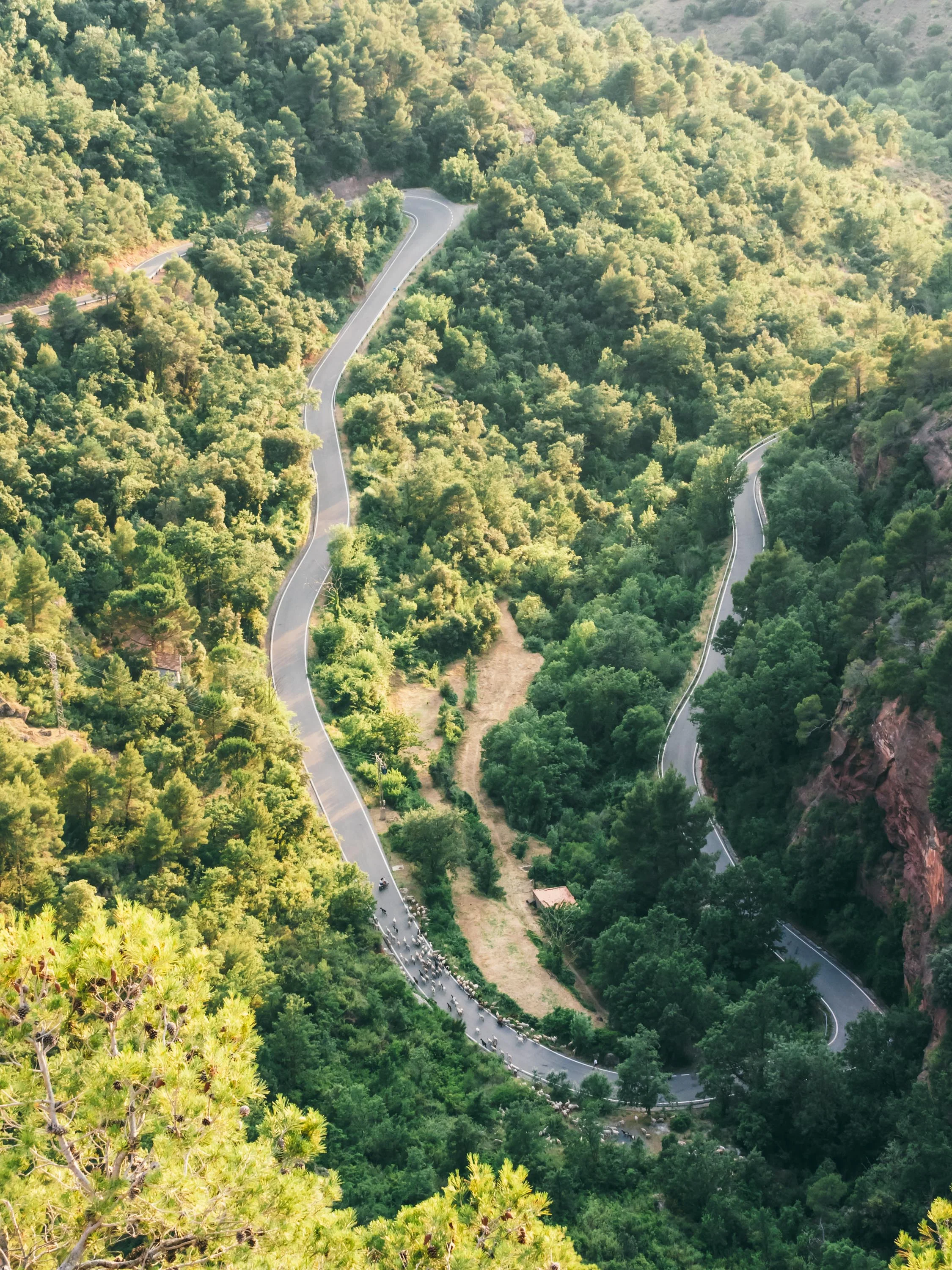170620_Inspira_Road_003.jpg