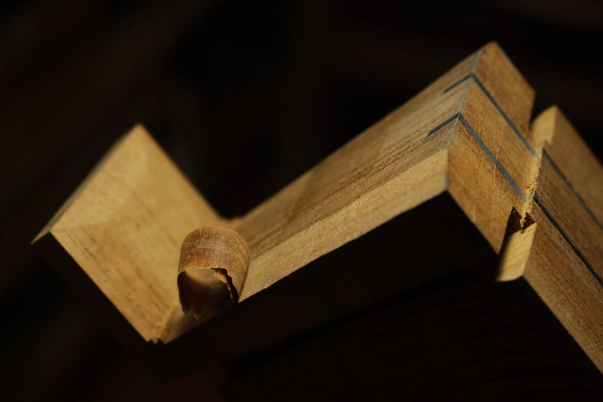 2019-03-28 12.21.jpeg