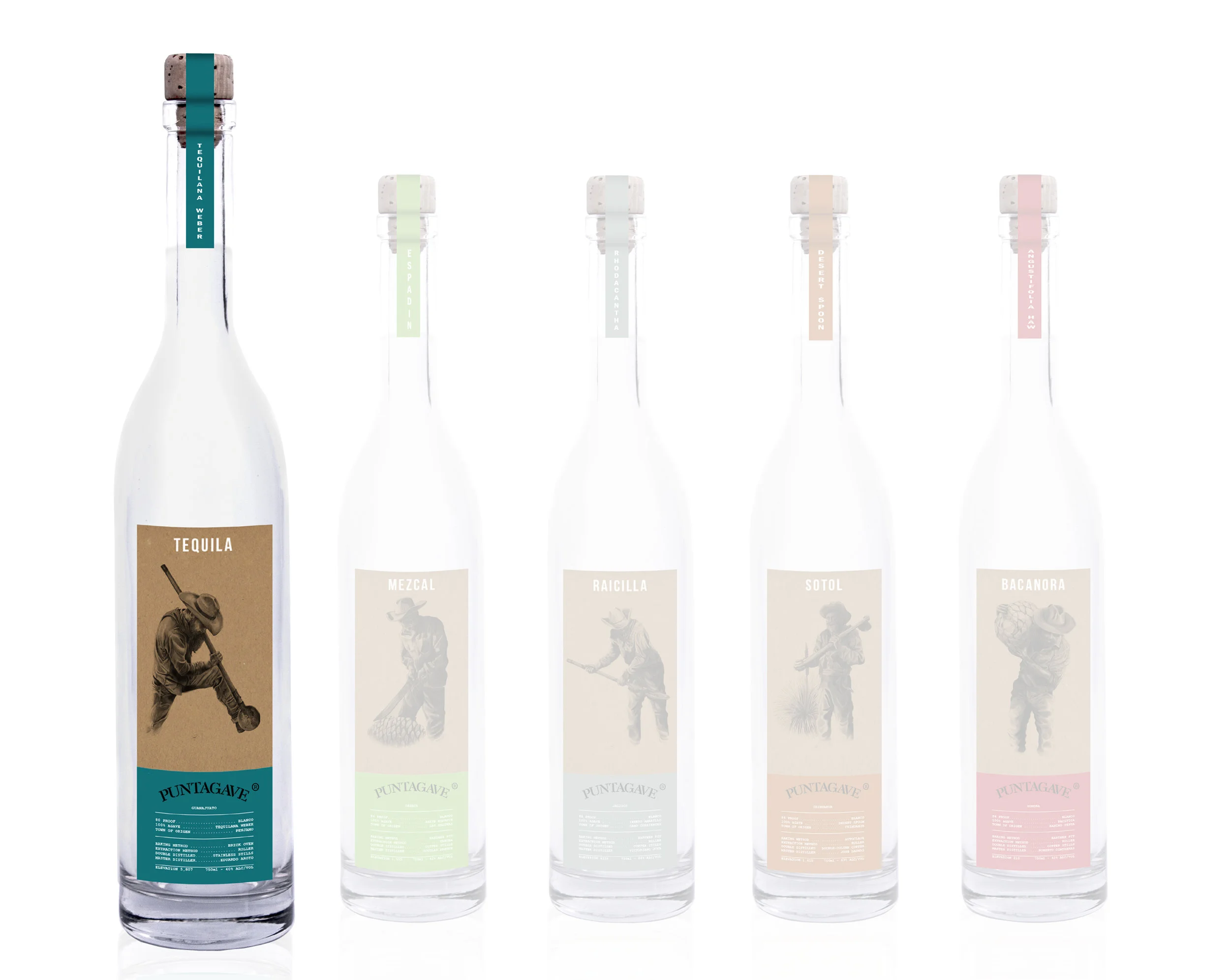 SHADOW TEQUILA copy.jpg