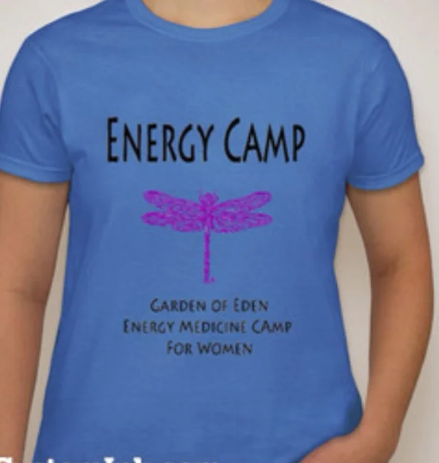 Our official Tee Shirt!