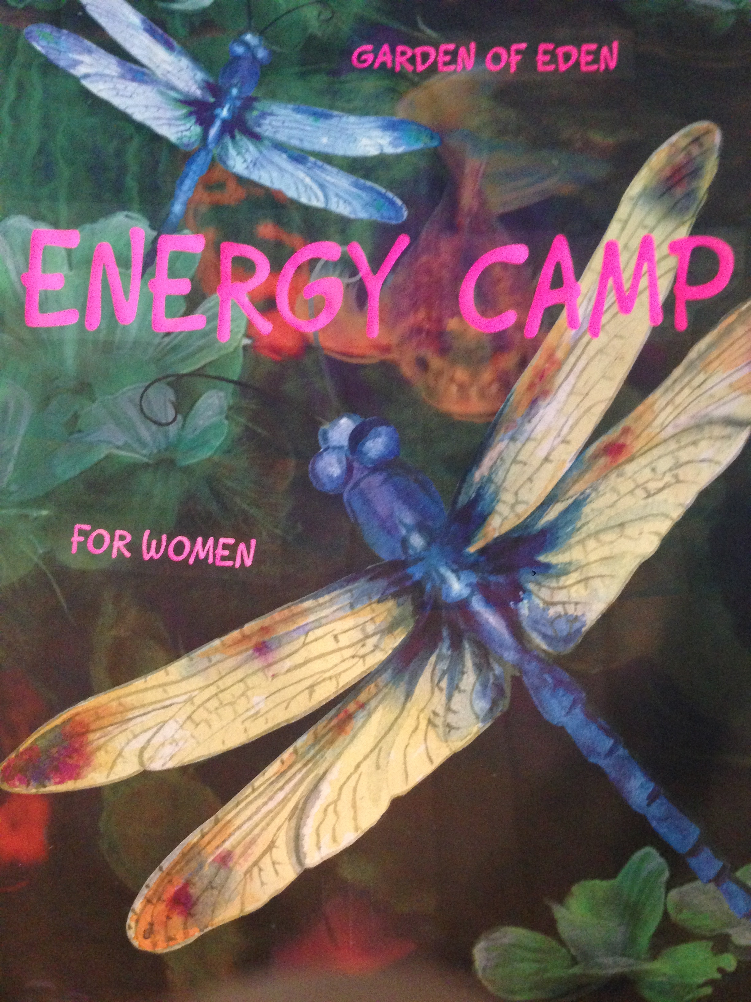 Eden Energy Camp | Opening Day Festivities