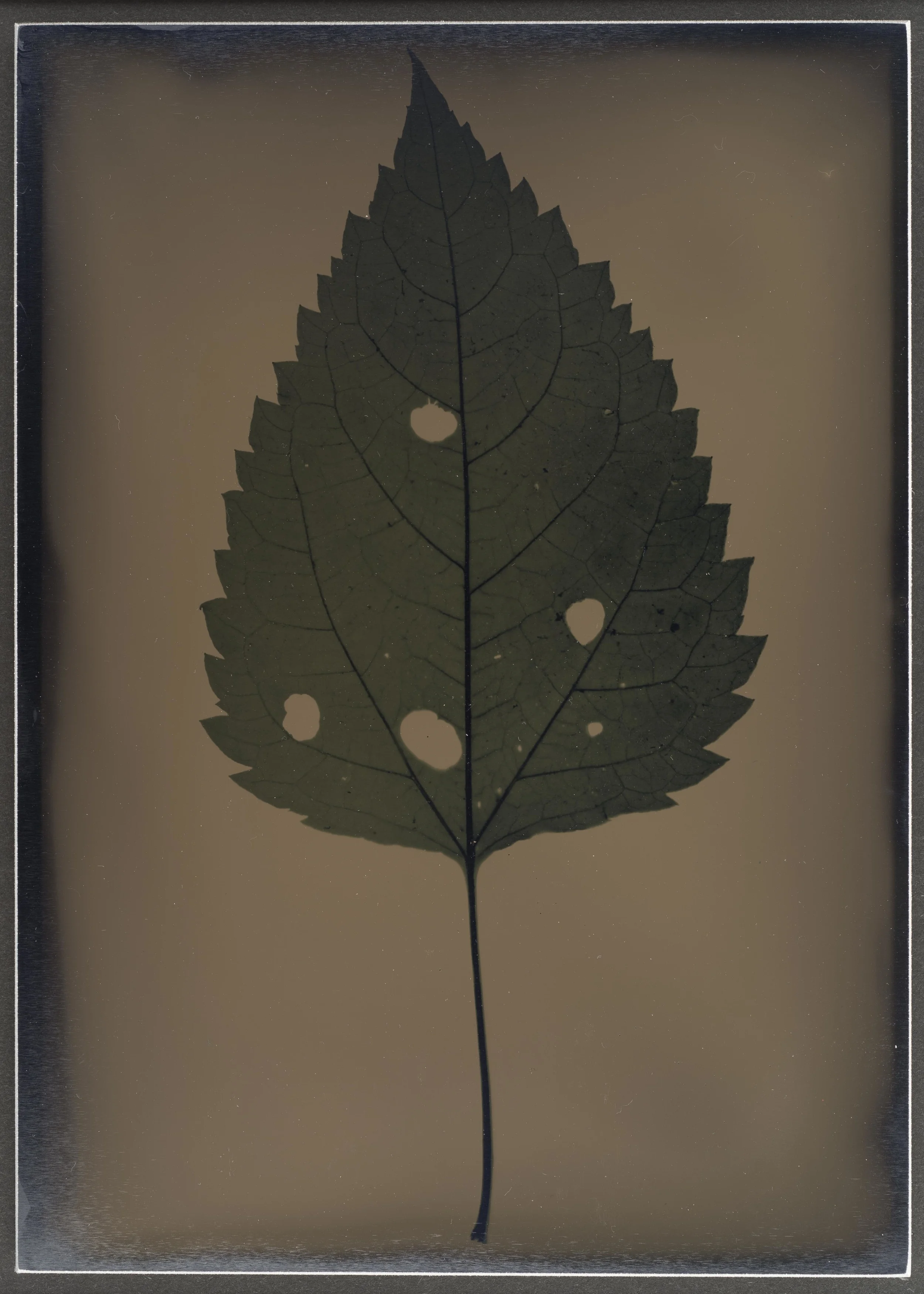 Harvest_Competition_03.jpg