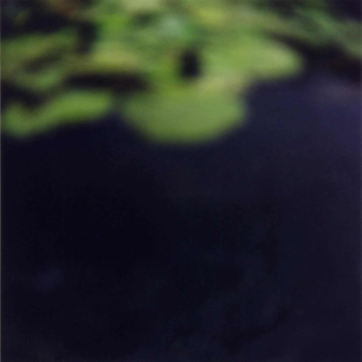 California 2-12 from foveal (mis)conceptions.jpg