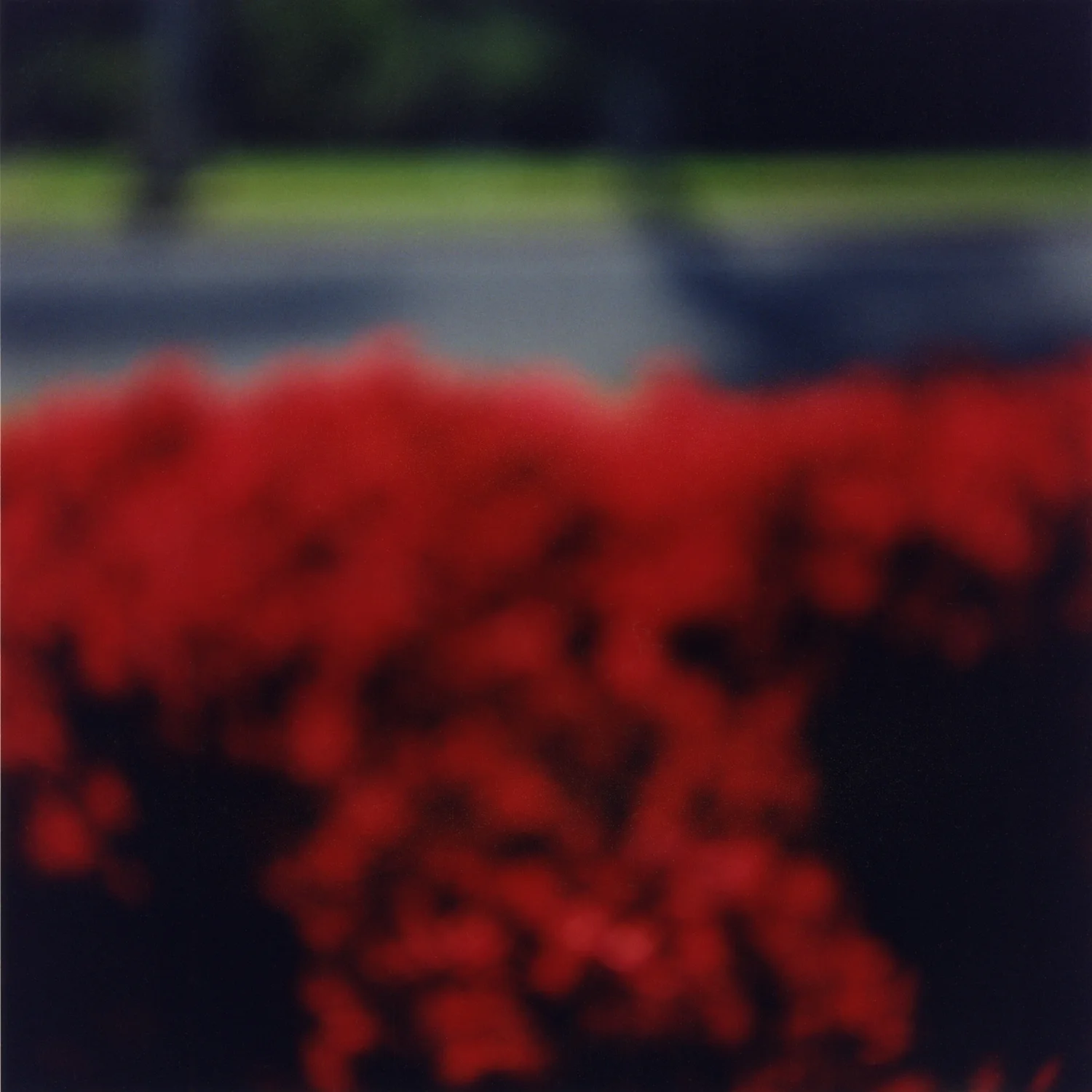 California 16-2 from foveal (mis)conceptions.jpg