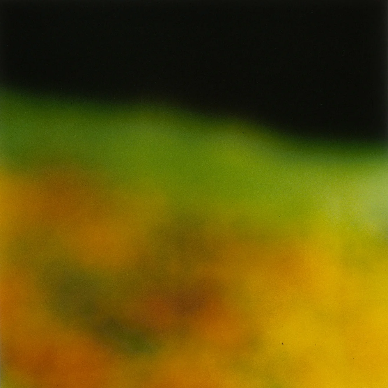 untitled #8 from foveal (mis)conceptions.jpg