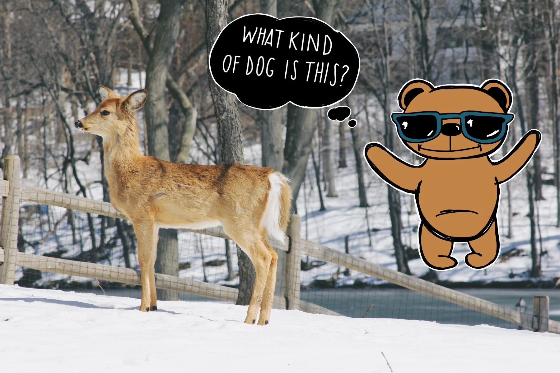 Untitled_Artwork 6.jpg