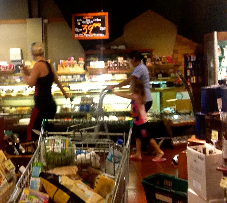 Vivanda Shopping, with Assistance