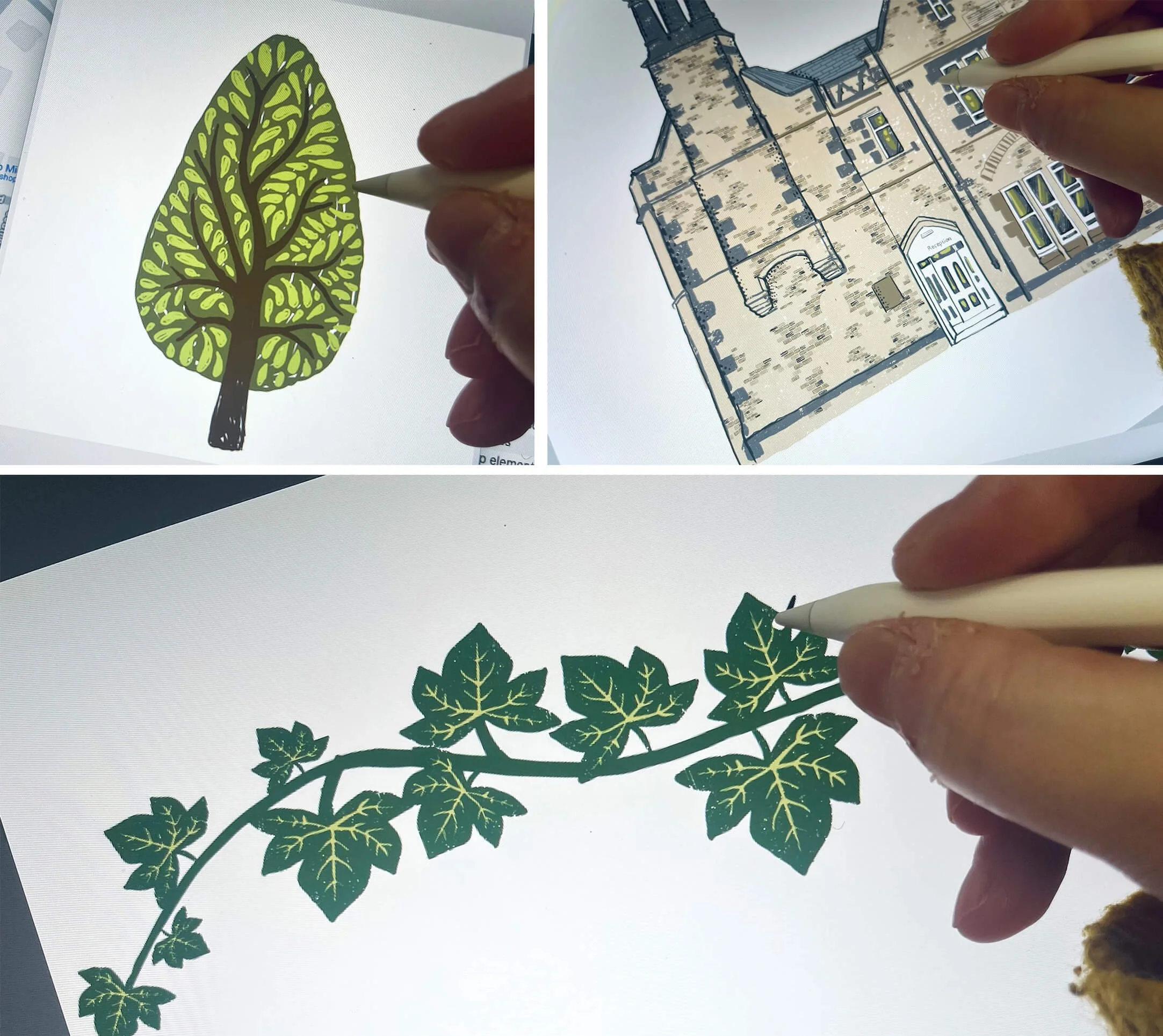 How to Work with an Illustrator for an Illustrated Map — Lisa Maltby ...