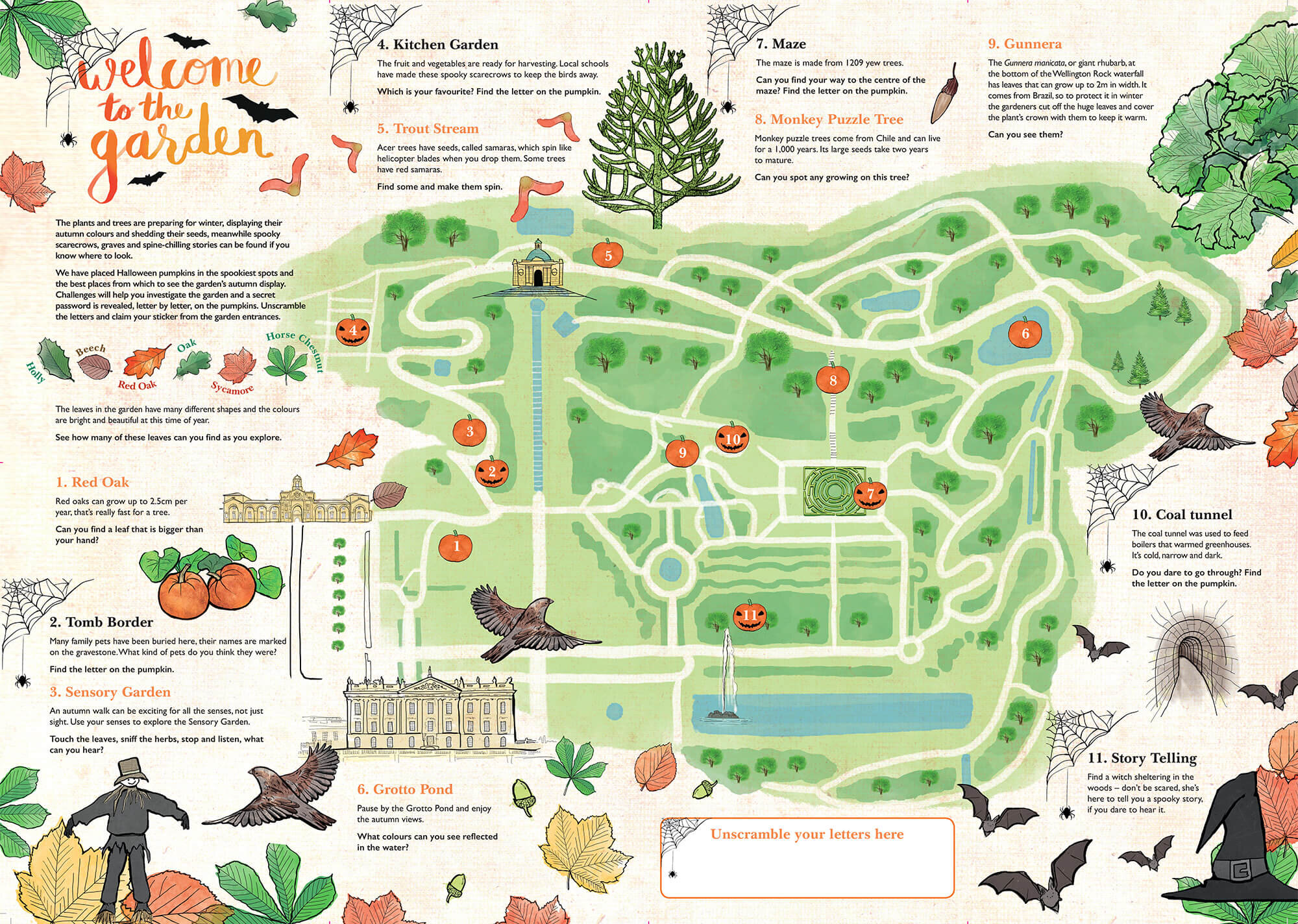 Chatsworth-Halloween trail-illustration.jpg