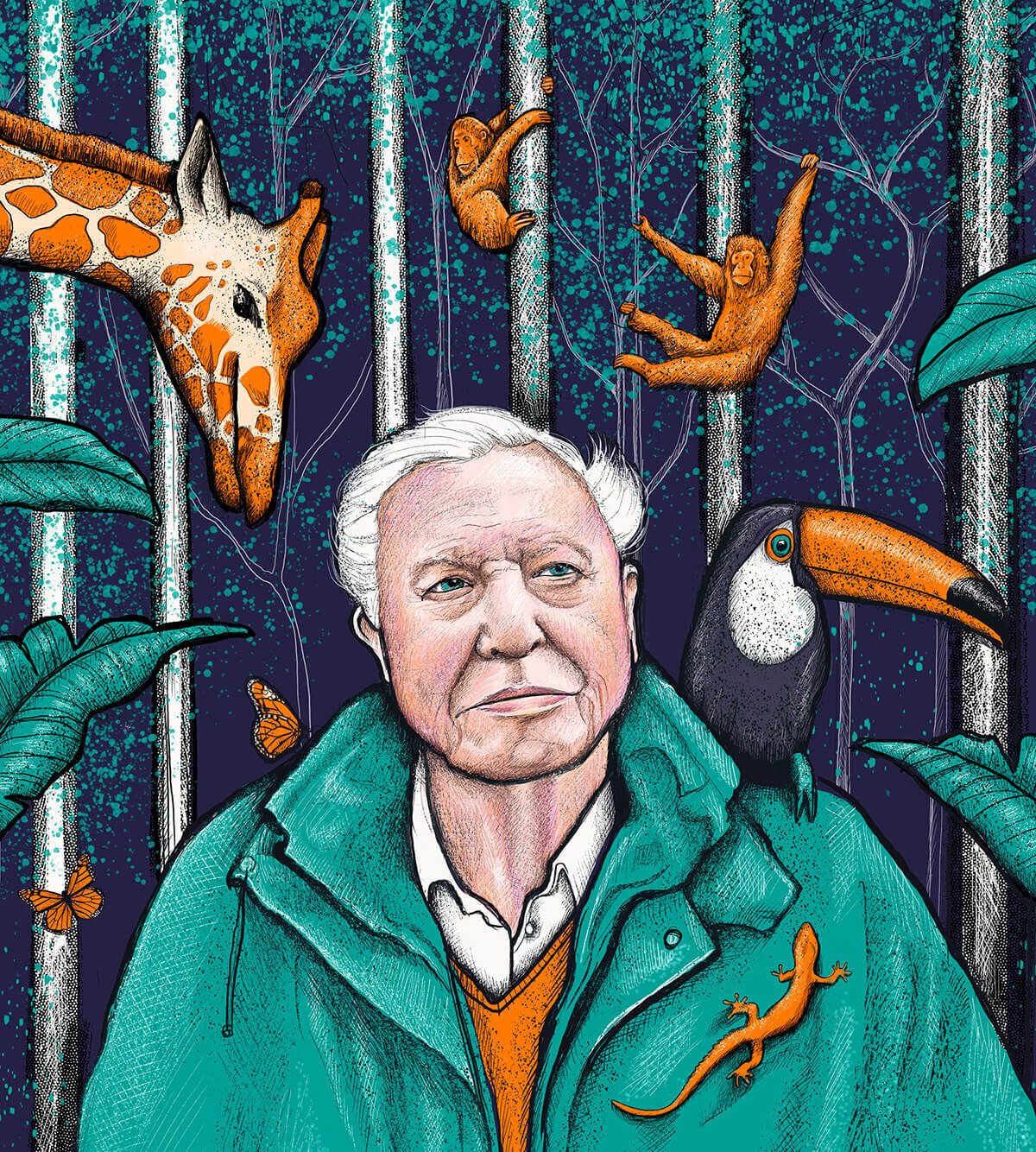 David-Attenborough-portrait-illustration-lisa-maltby.jpg