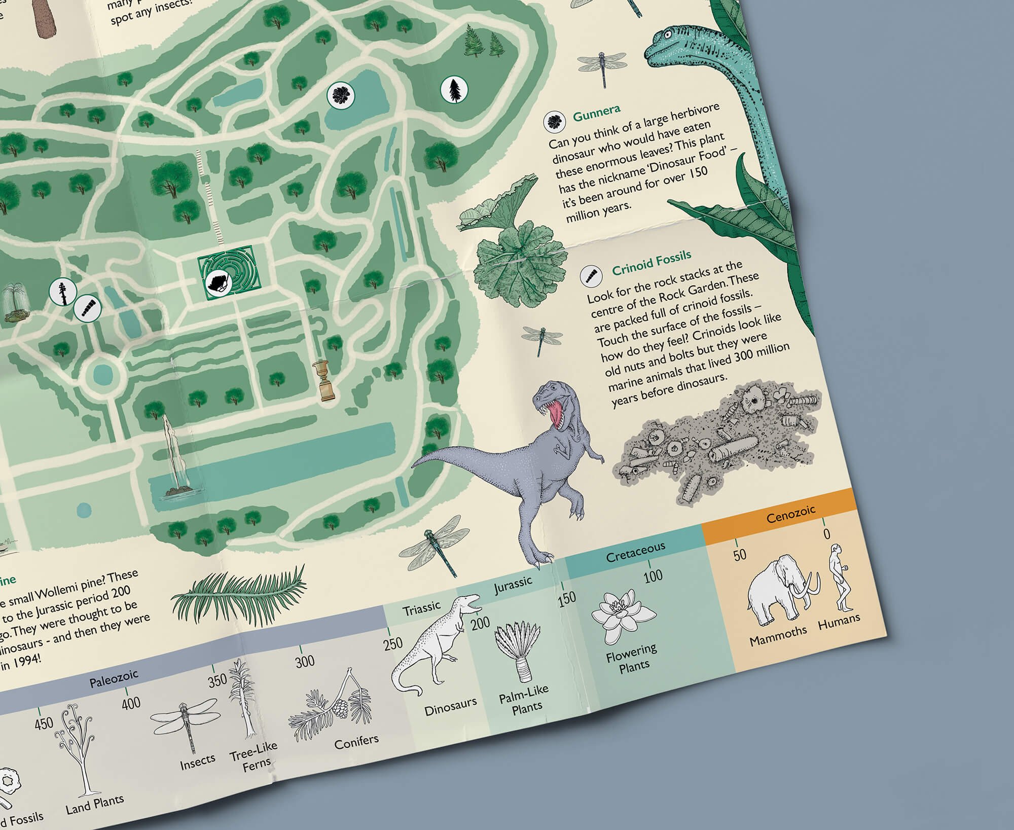 illustrative trail map chatsworth house.jpg