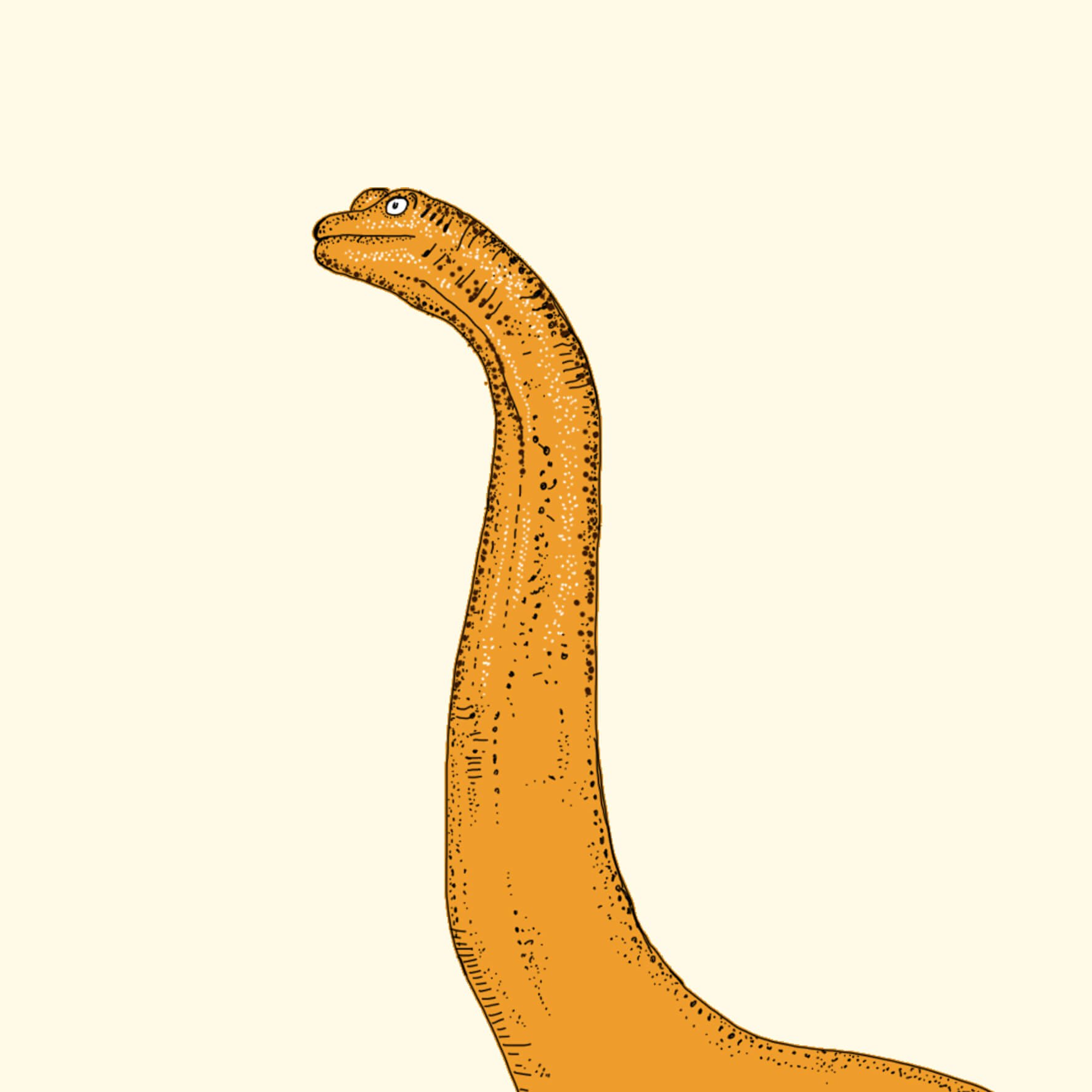 brachiasaurus dinosaur illustration.jpg