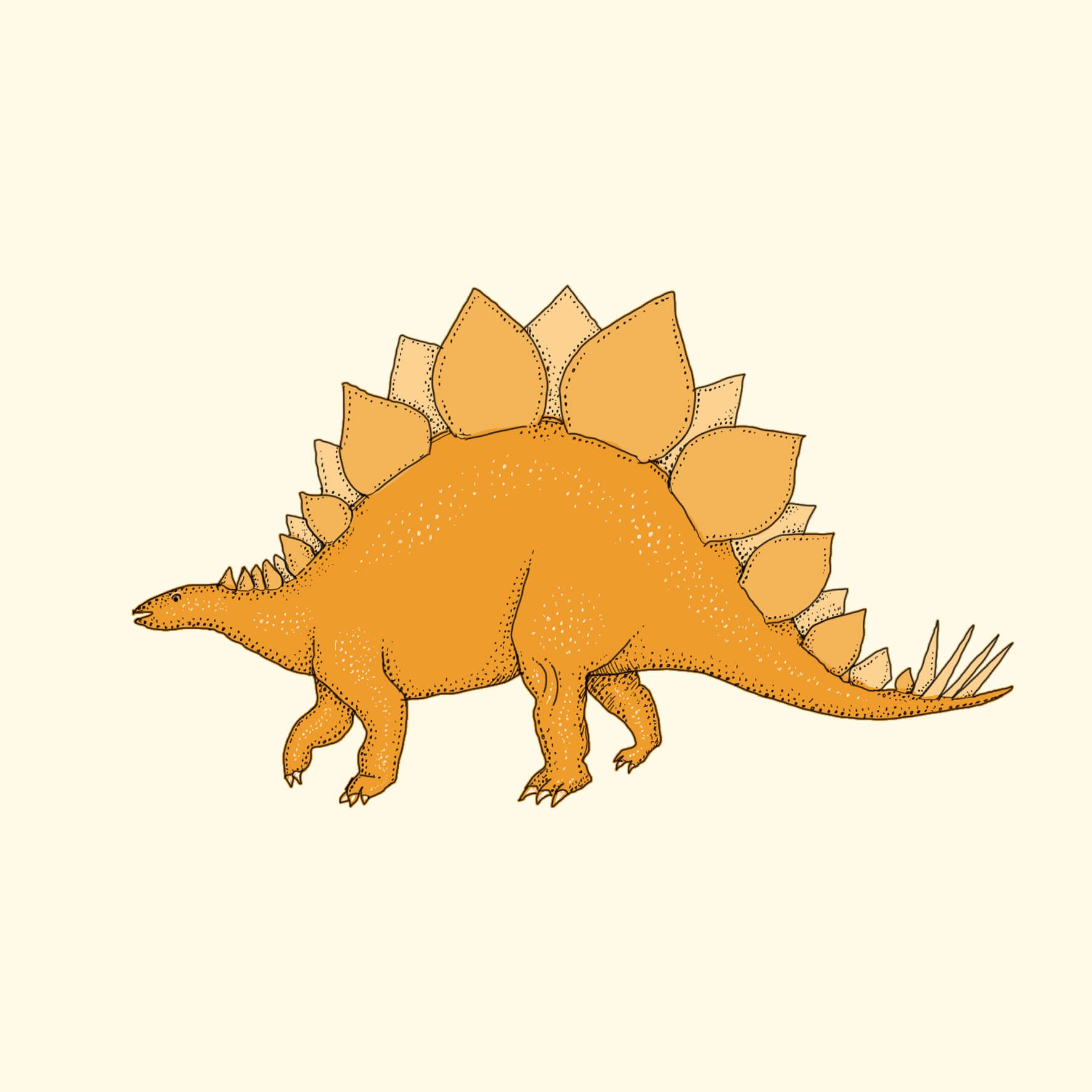 stegasaurus dinosaur illustration.jpg