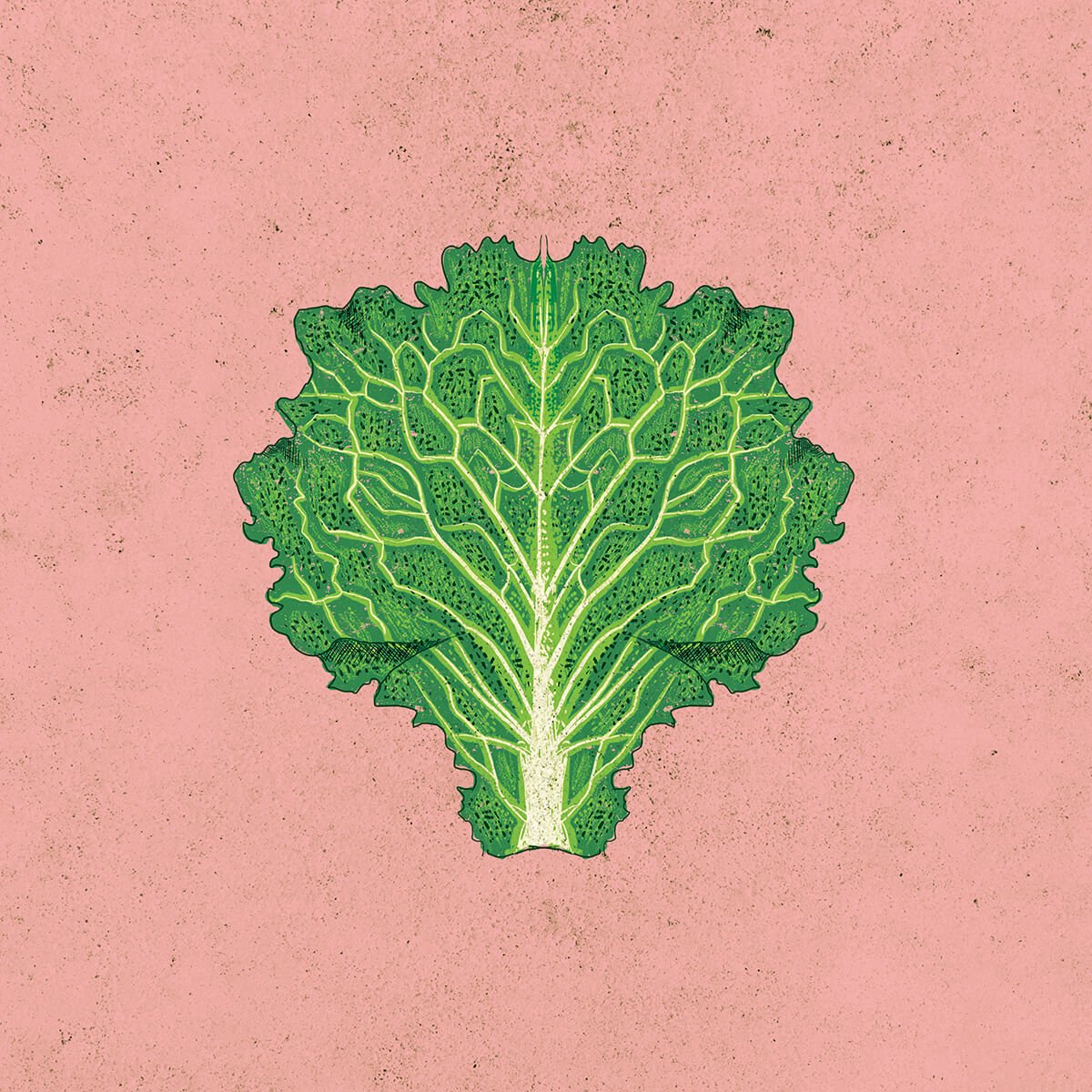 food+illustrator.jpg