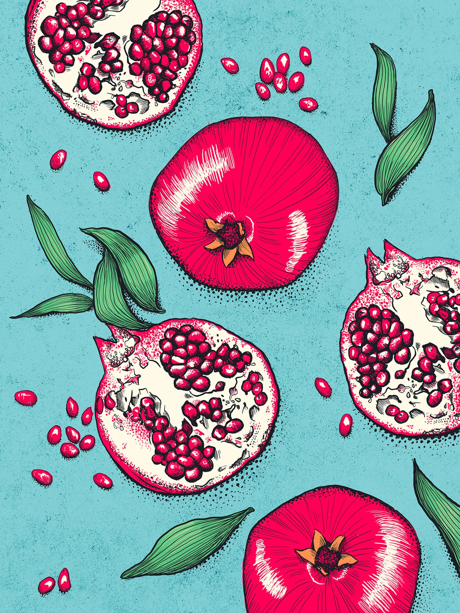 pomegranate+food+illustration.jpg