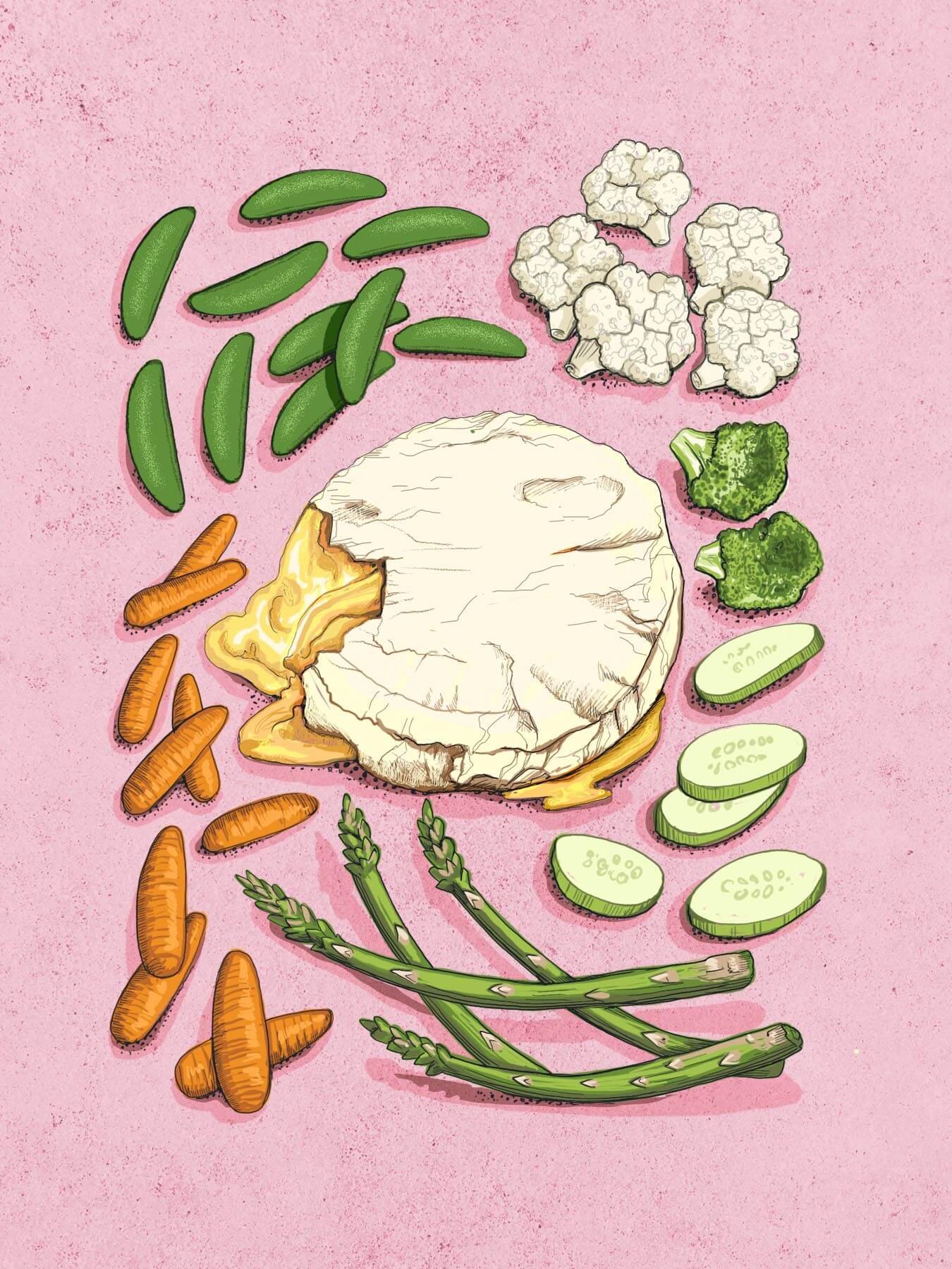 vegetable+brie+food+illustration.jpg