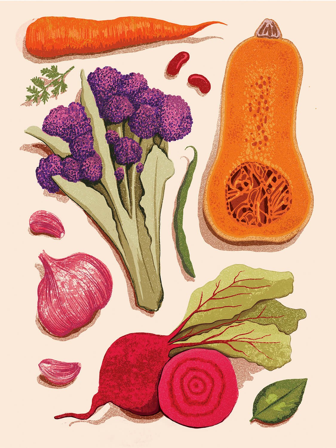 vegetable+spot+illustrations+by+lisa+maltby.jpg